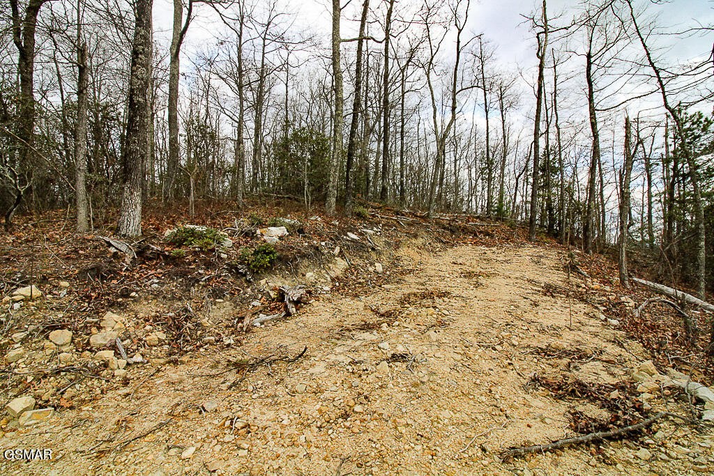 0 Mountain Ash Way Property Photo 25