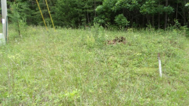 0 Parkstown Ext Rd Property Photo 1