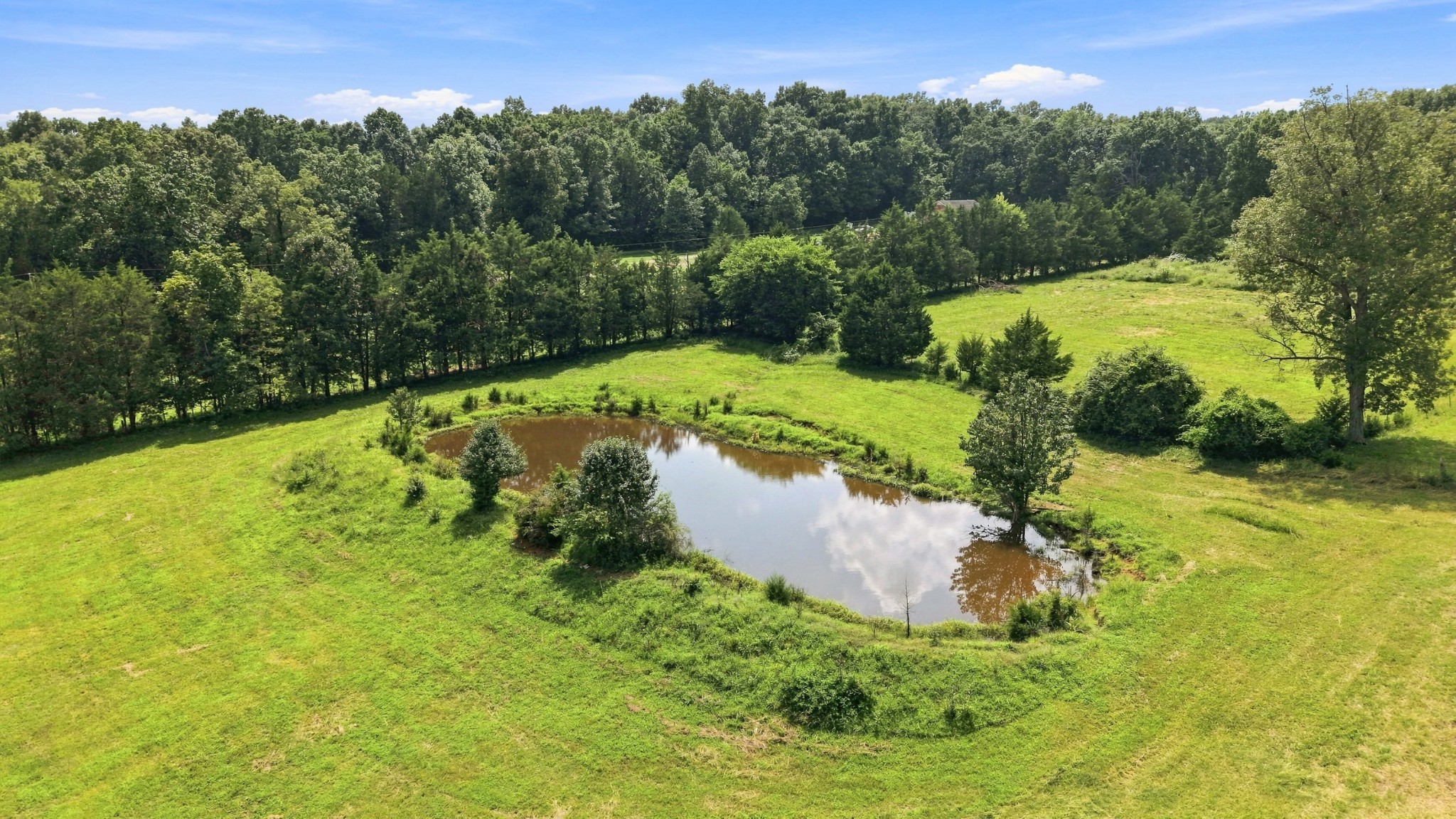1150 Canoe Branch Rd Property Photo 15