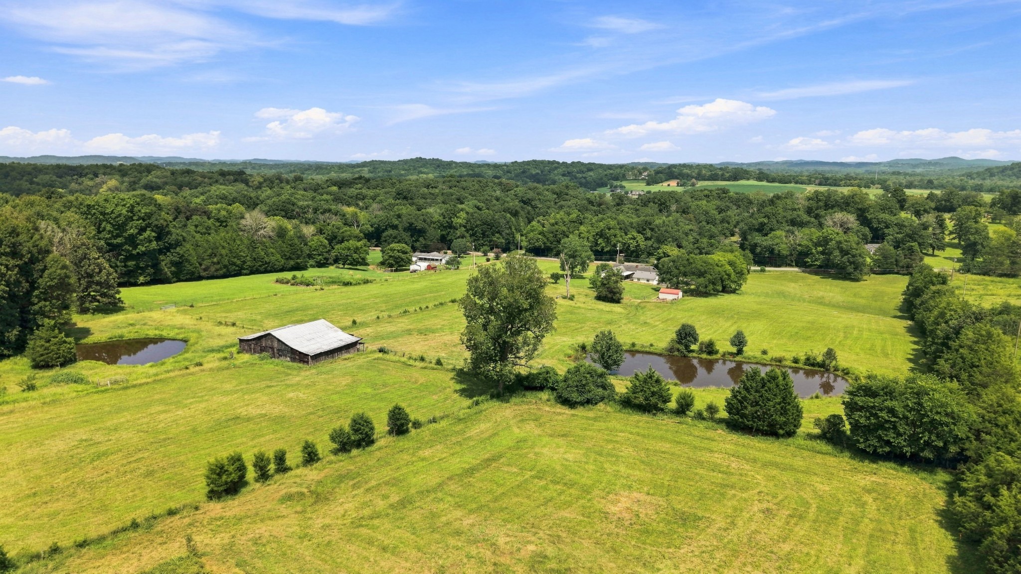 1150 Canoe Branch Rd Property Photo 19