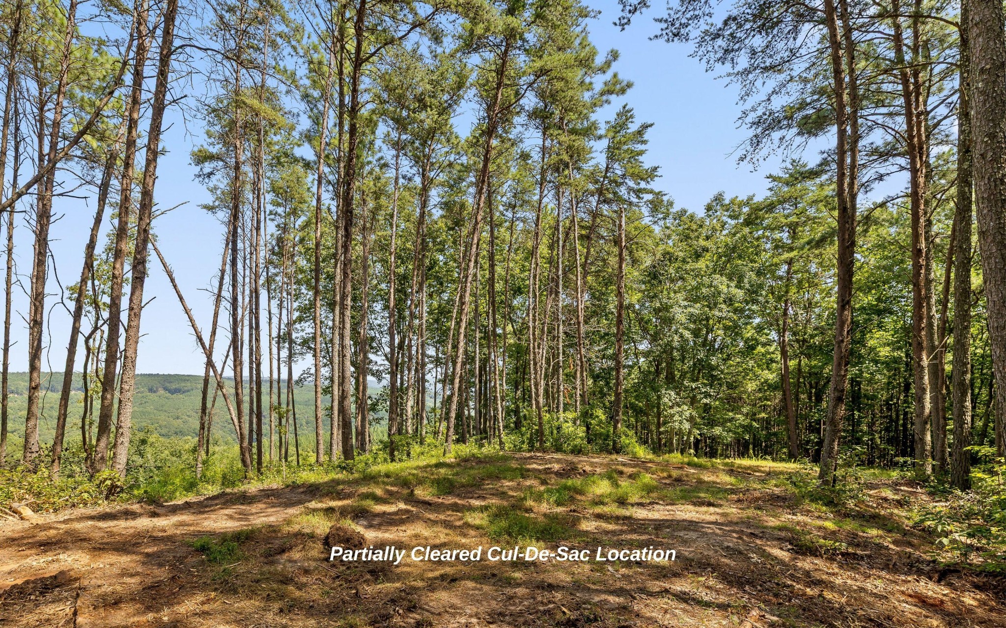 1220 Crows Nest Drive Property Photo 2