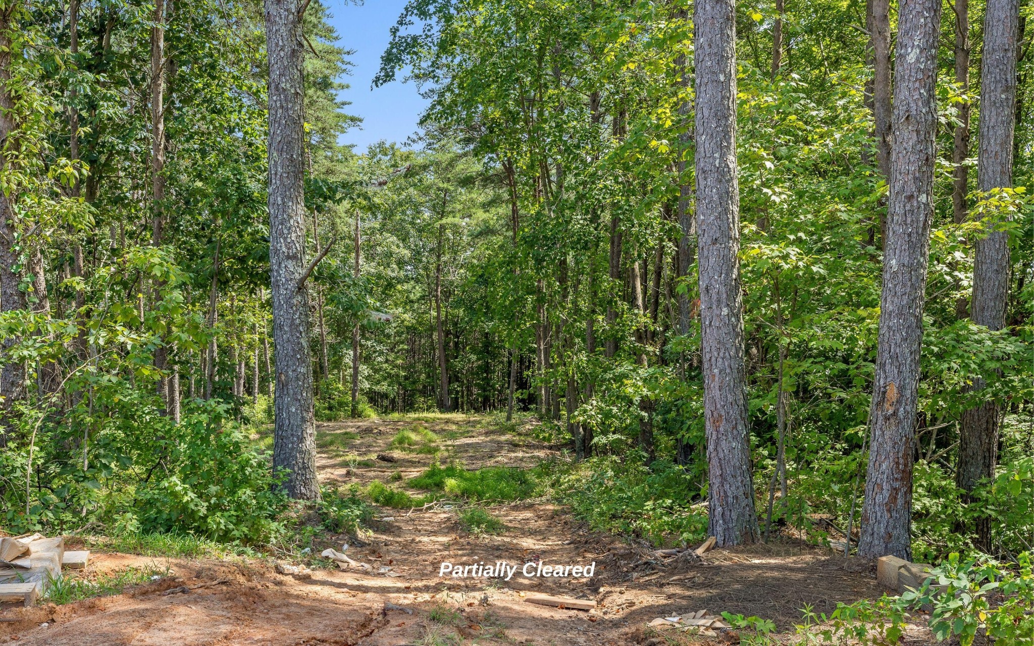1220 Crows Nest Drive Property Photo 5