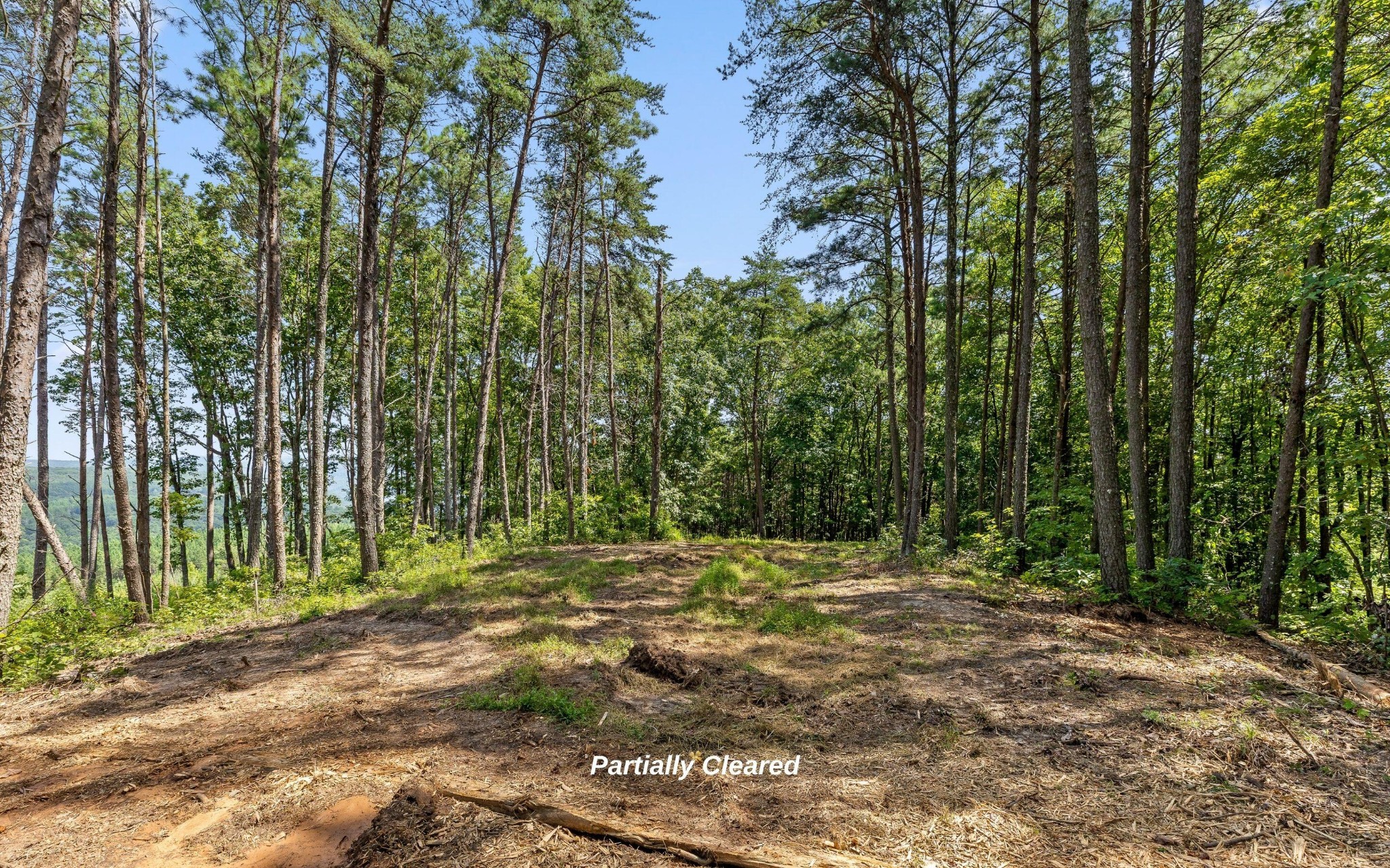 1220 Crows Nest Drive Property Photo 6