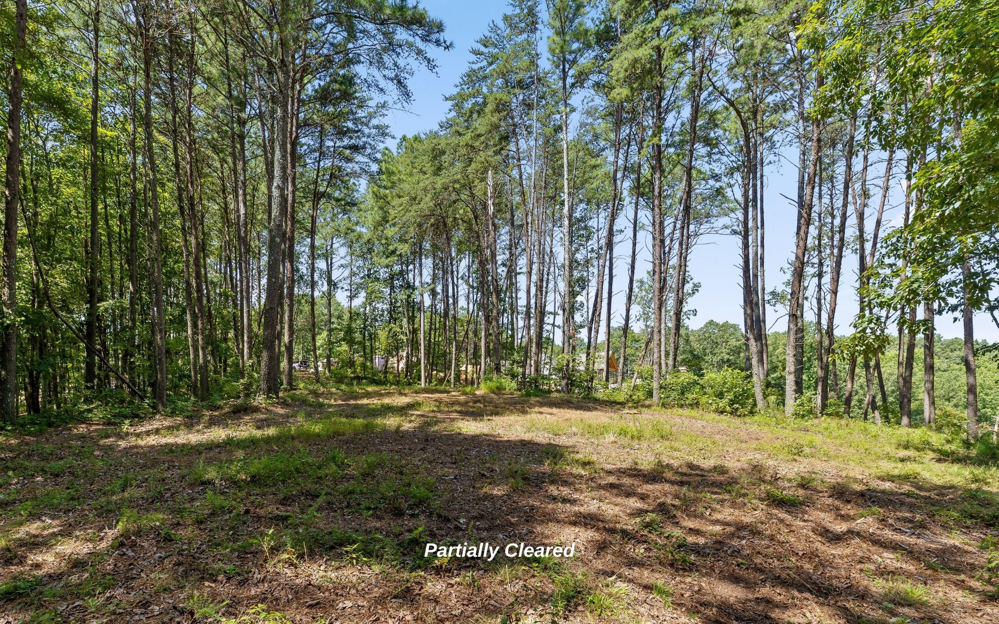 1220 Crows Nest Drive Property Photo 7
