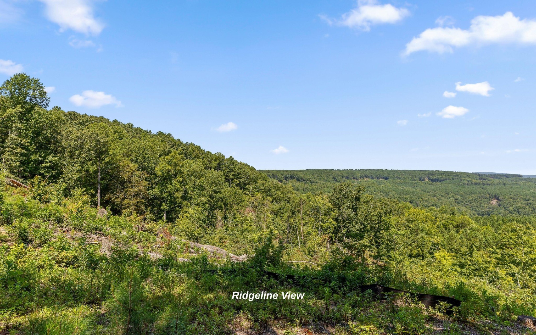 1220 Crows Nest Drive Property Photo 8