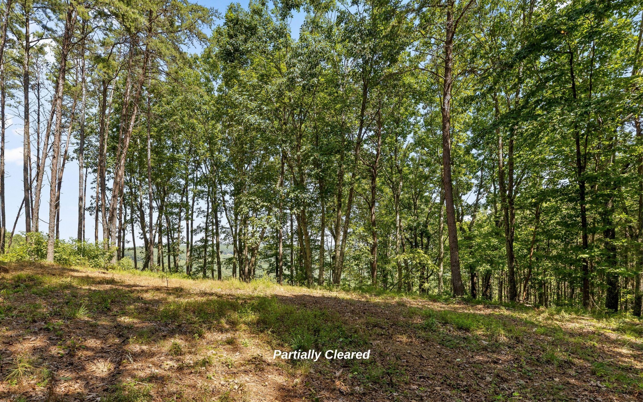1220 Crows Nest Drive Property Photo 14