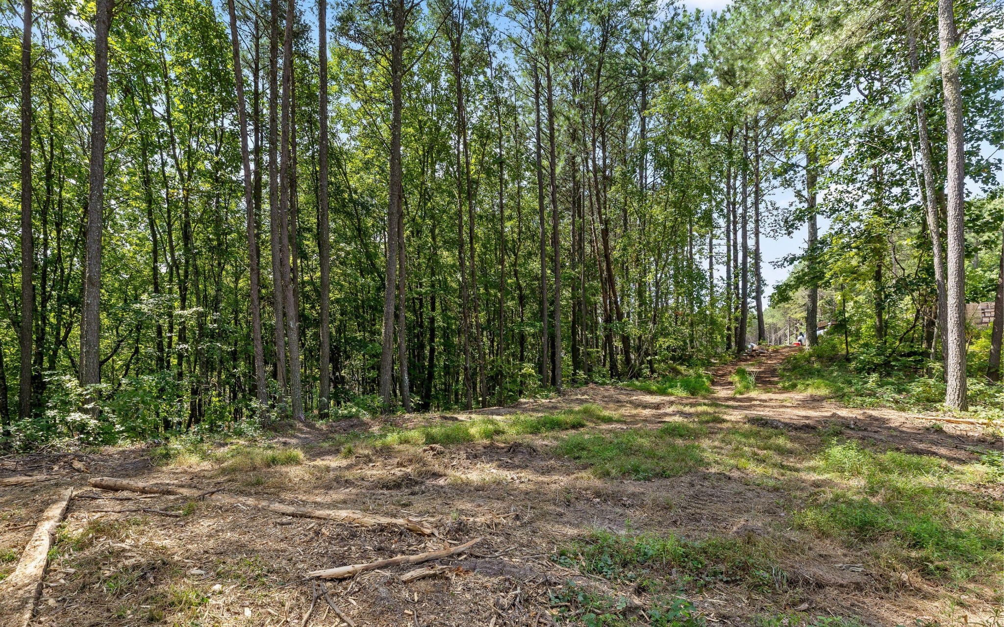 1220 Crows Nest Drive Property Photo 15