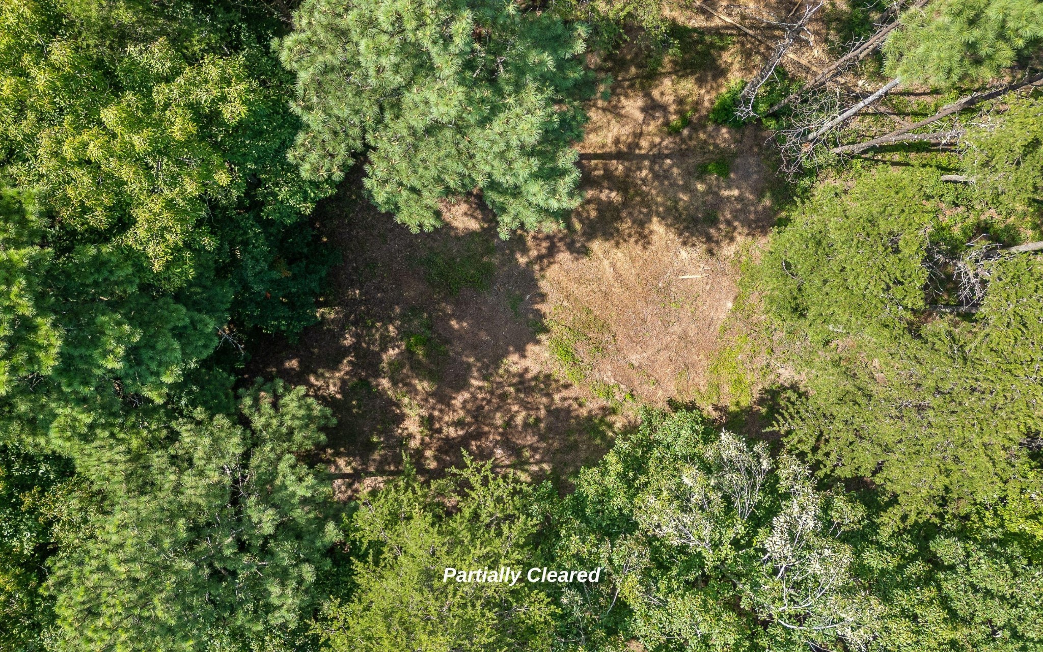 1220 Crows Nest Drive Property Photo 17