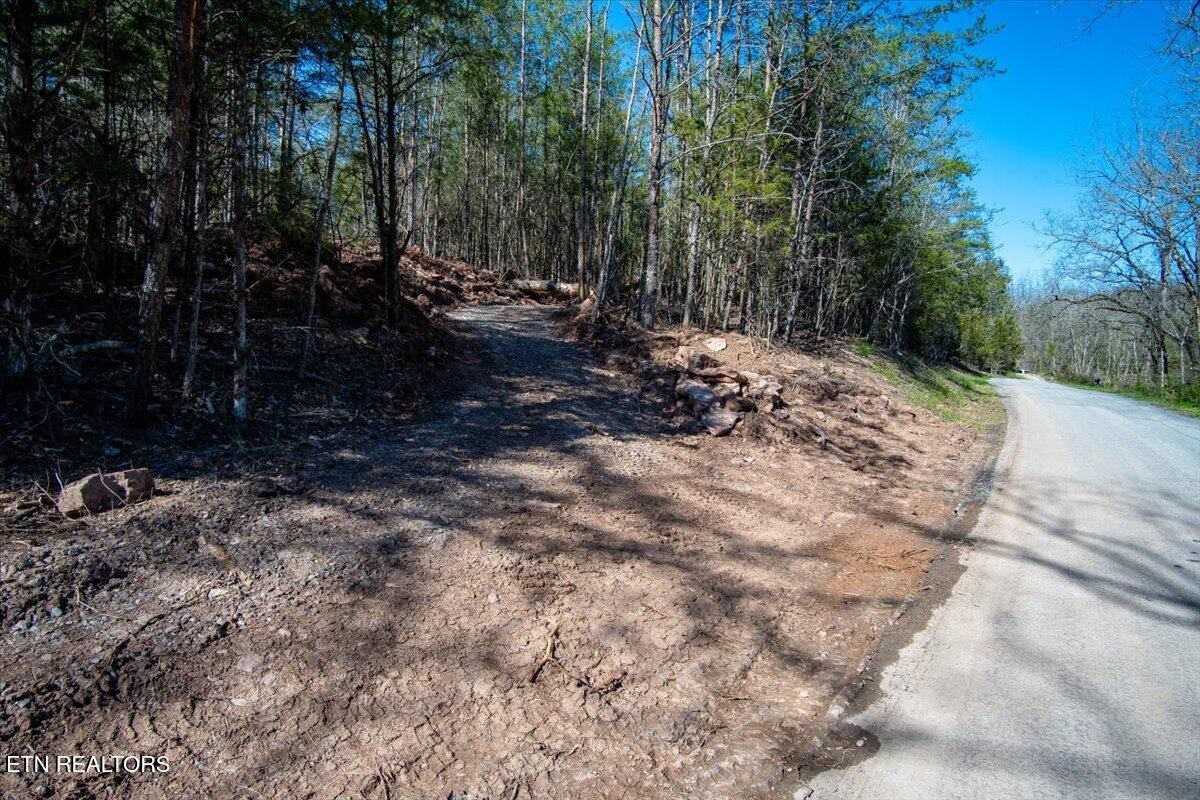 0 Wolfenbarger Property Photo 3