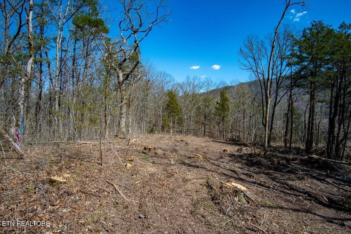 0 Wolfenbarger Property Photo 4