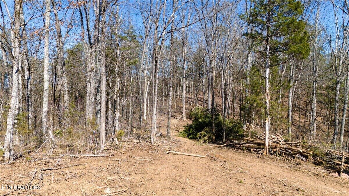 0 Wolfenbarger Property Photo 6