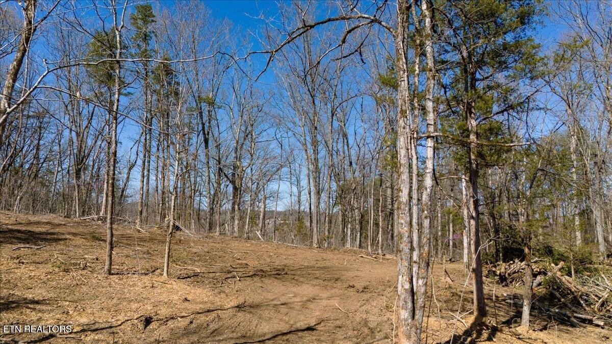 0 Wolfenbarger Property Photo 7