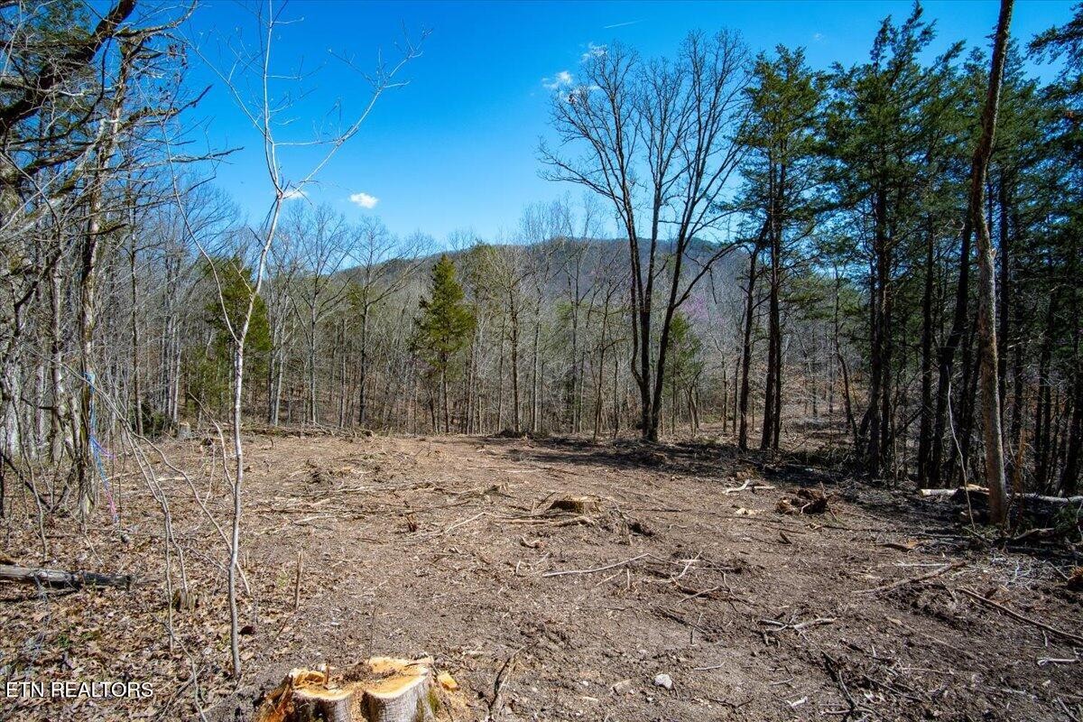 0 Wolfenbarger Property Photo 8
