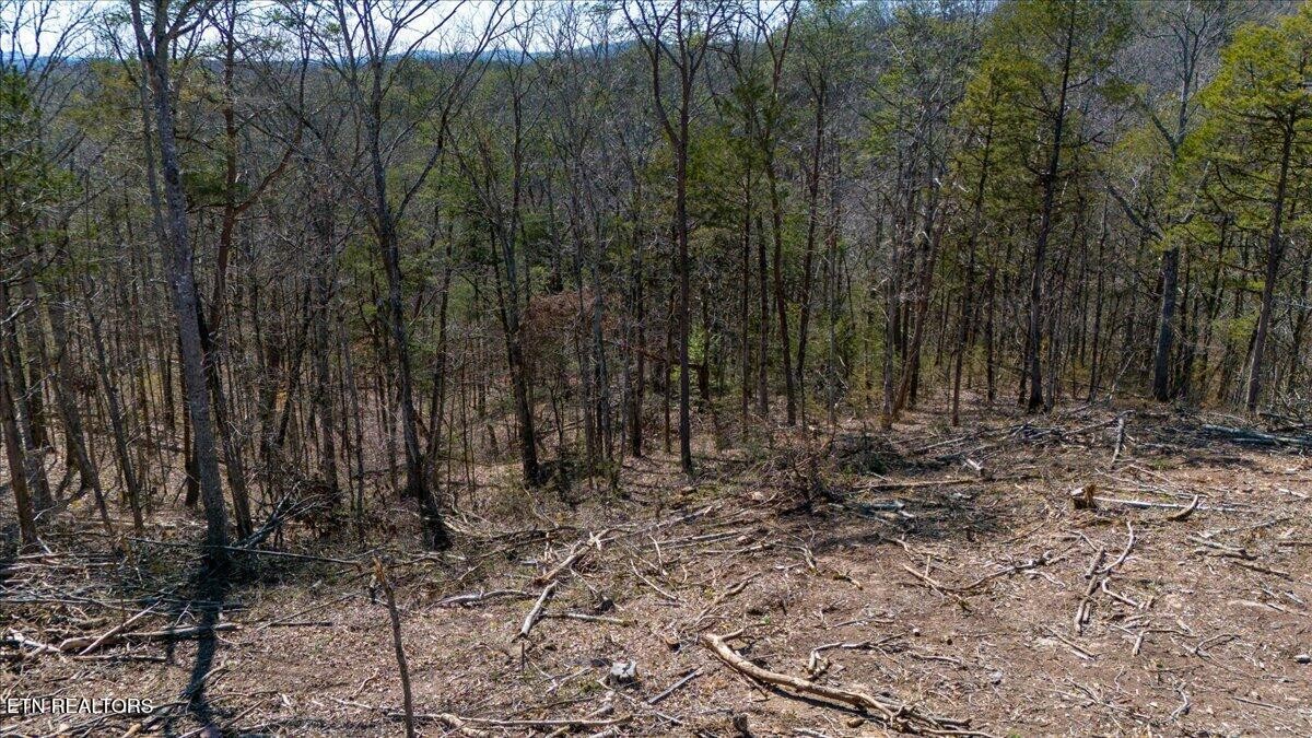 0 Wolfenbarger Property Photo 14