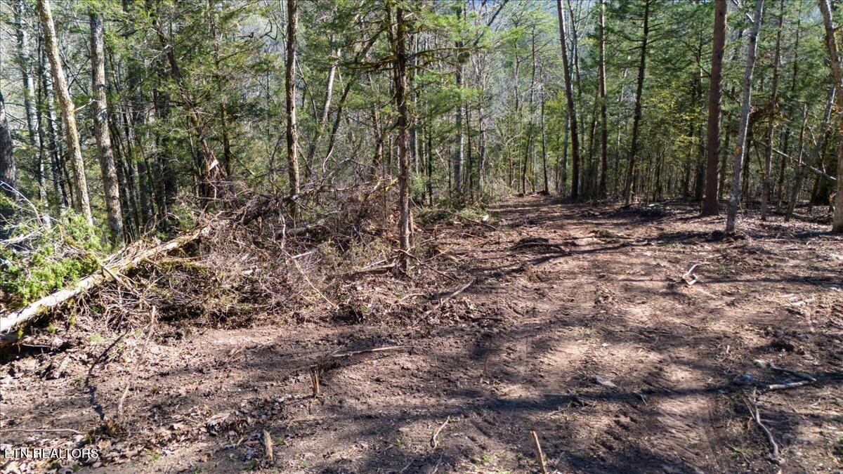 0 Wolfenbarger Property Photo 15