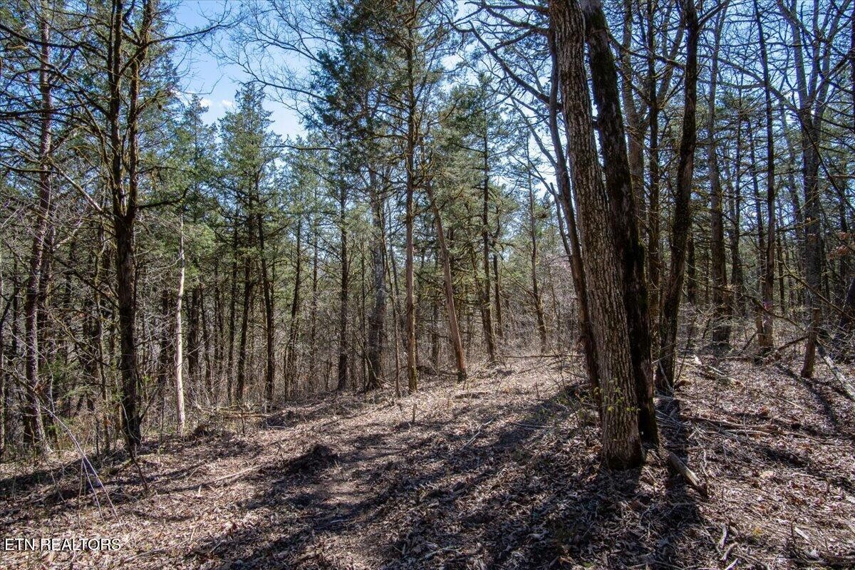 0 Wolfenbarger Property Photo 16