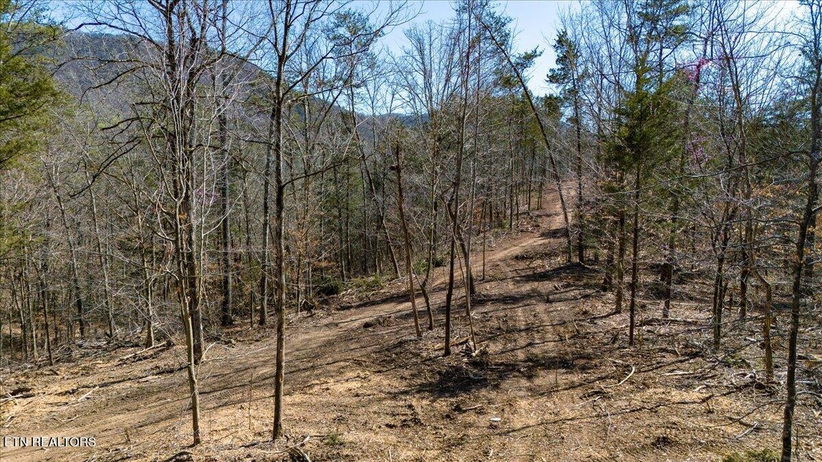 0 Wolfenbarger Property Photo 17