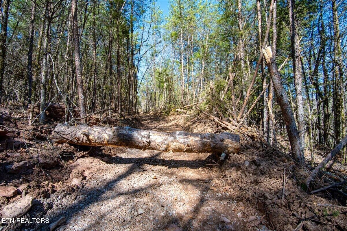 0 Wolfenbarger Property Photo 18