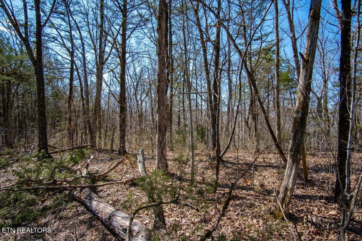 0 Wolfenbarger Property Photo 25