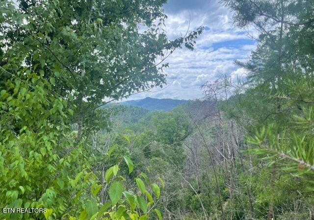 0 River Birch Way Property Photo 1