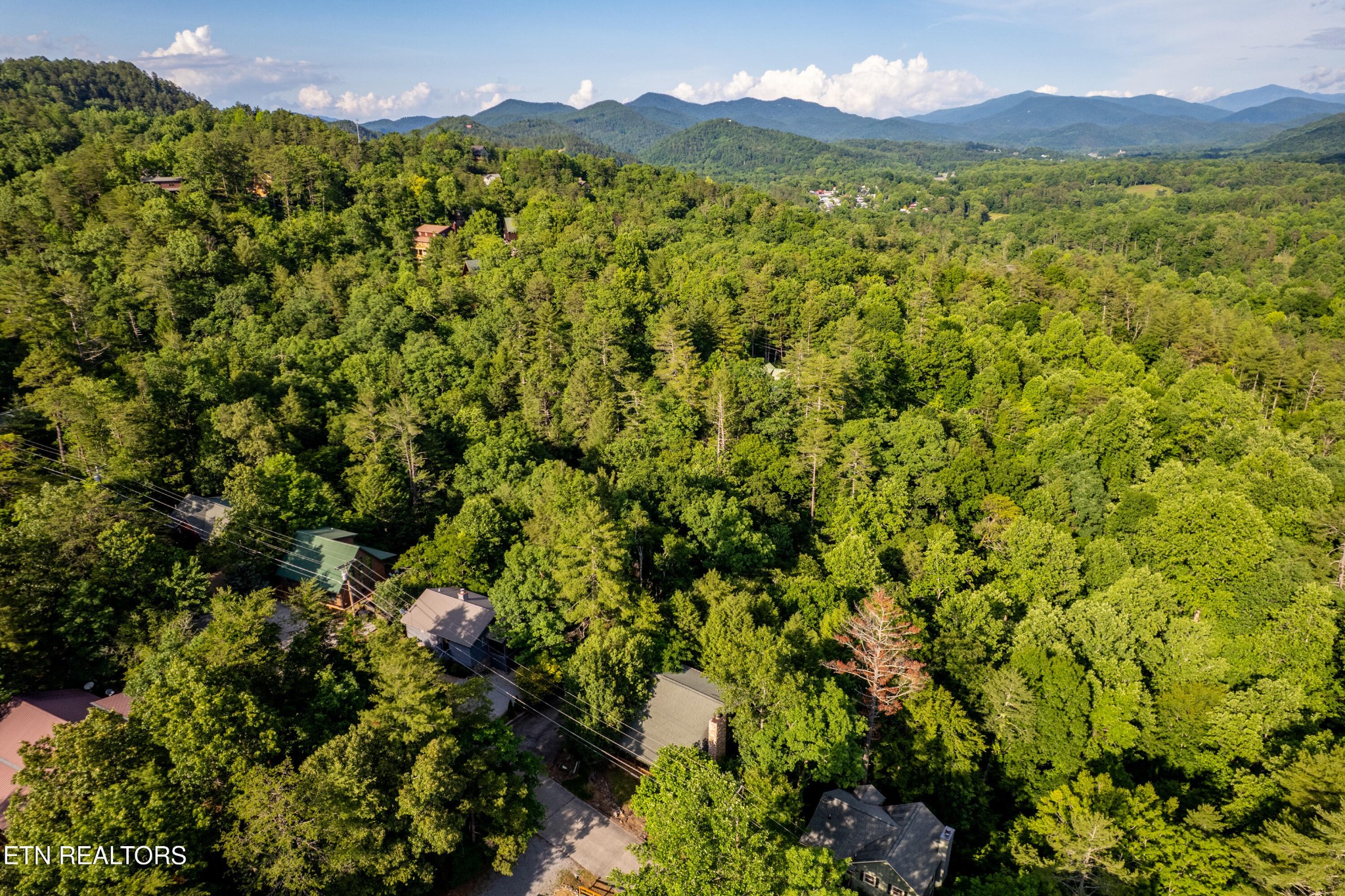 124 Cutter Gap Rd Property Photo 3