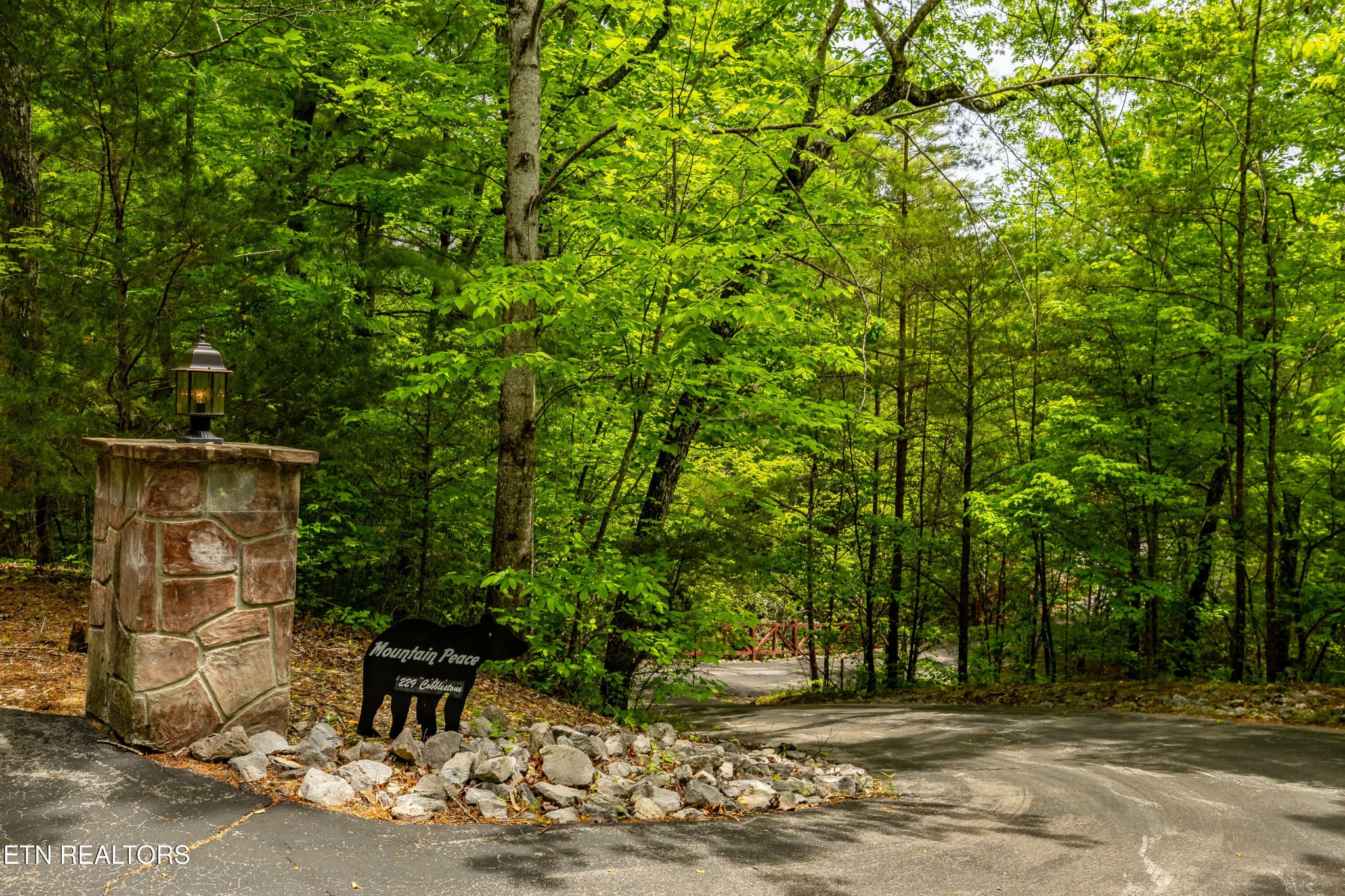 229 Cobblestone Way Property Photo 46