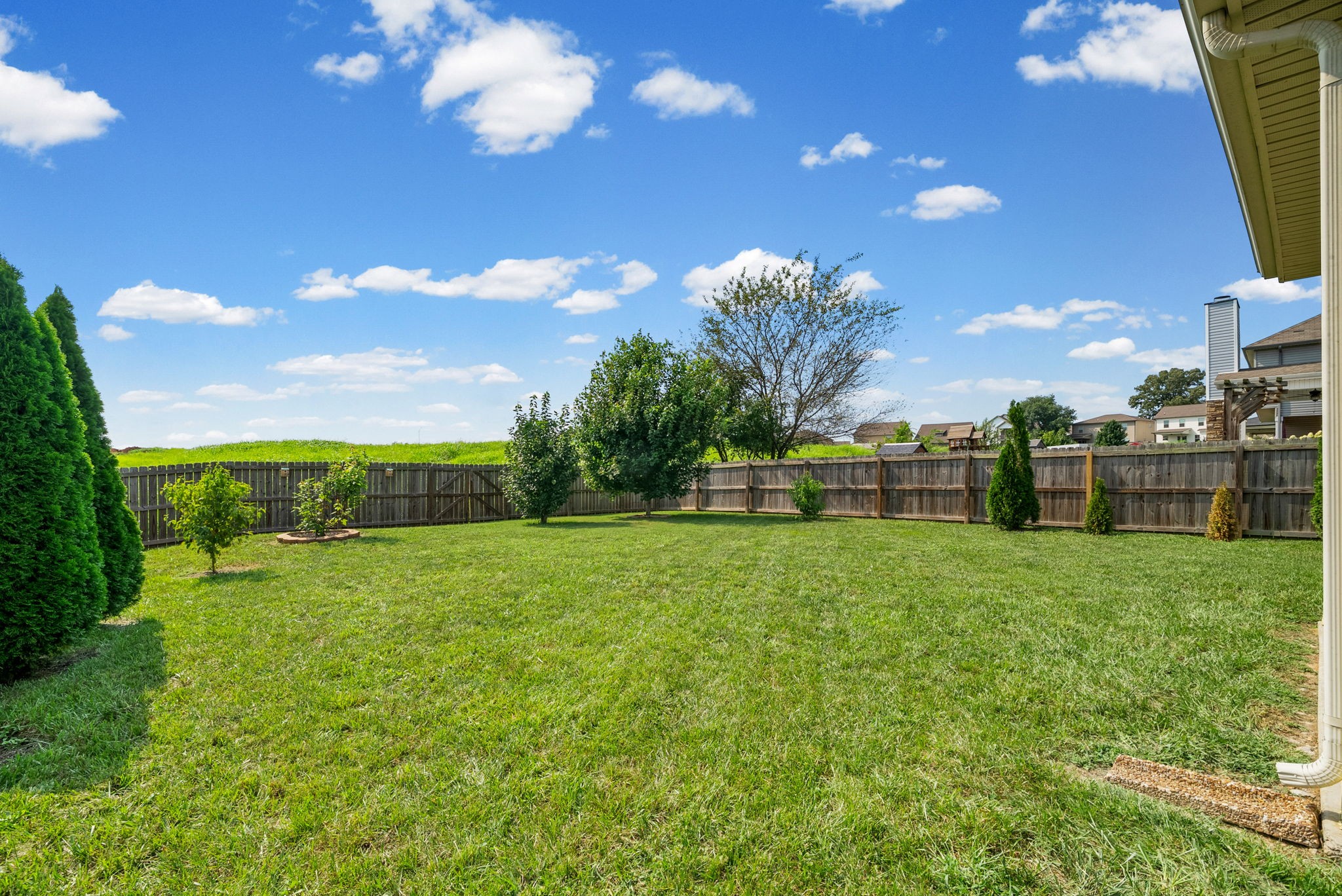 3512 Spring House Trl Property Photo 46