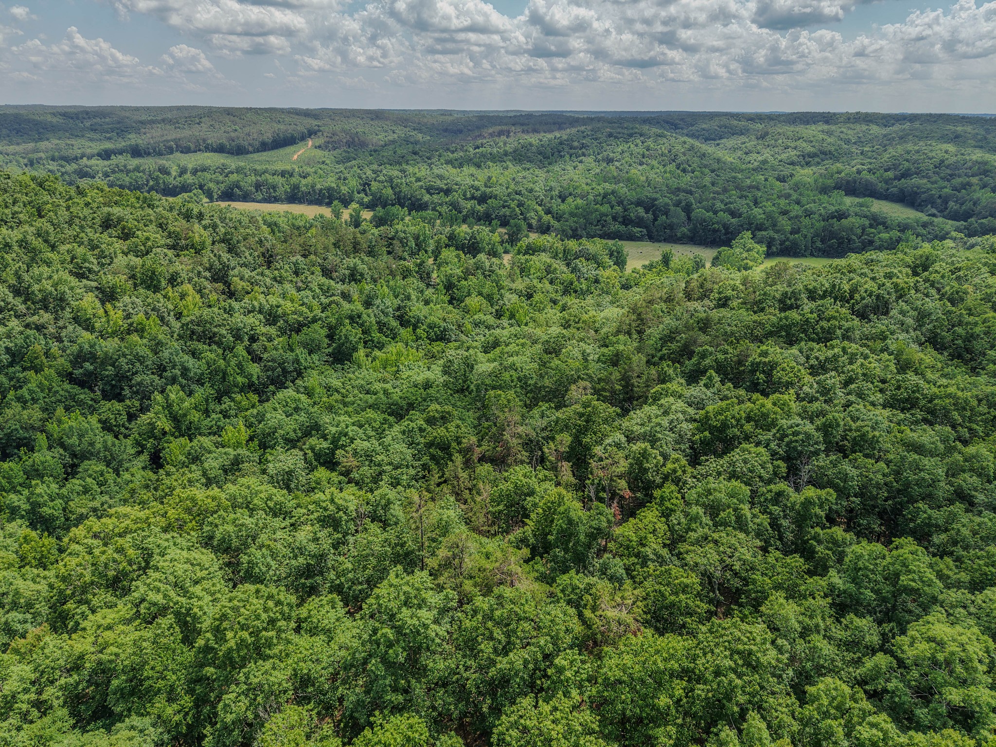 0 Rayburn Creek Rd Property Photo 10