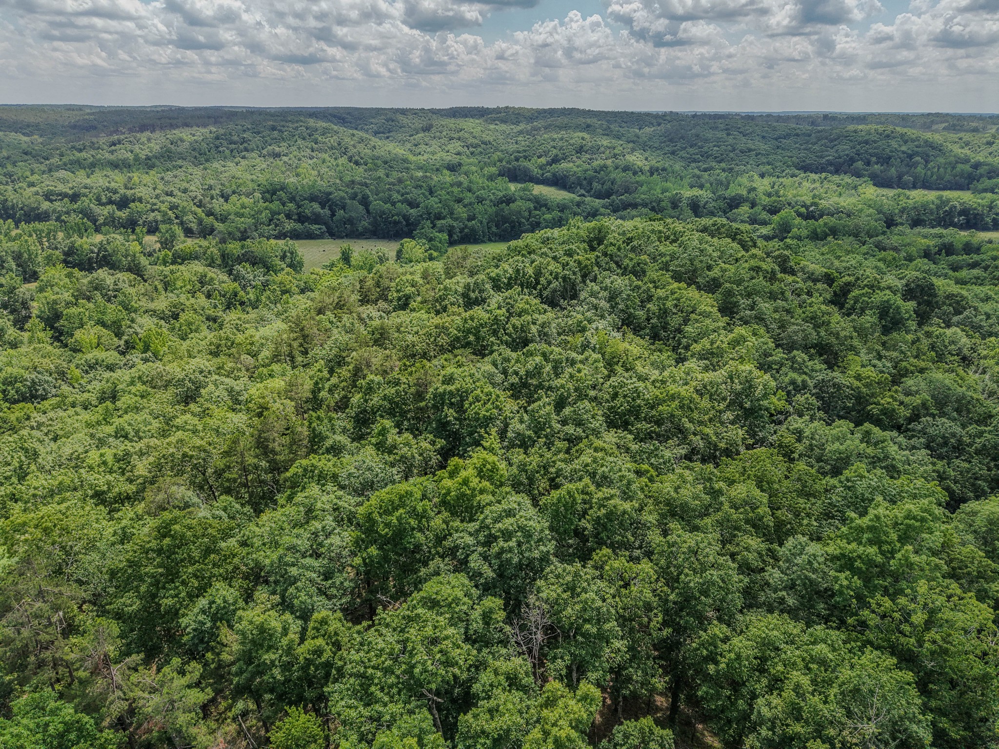 0 Rayburn Creek Rd Property Photo 11