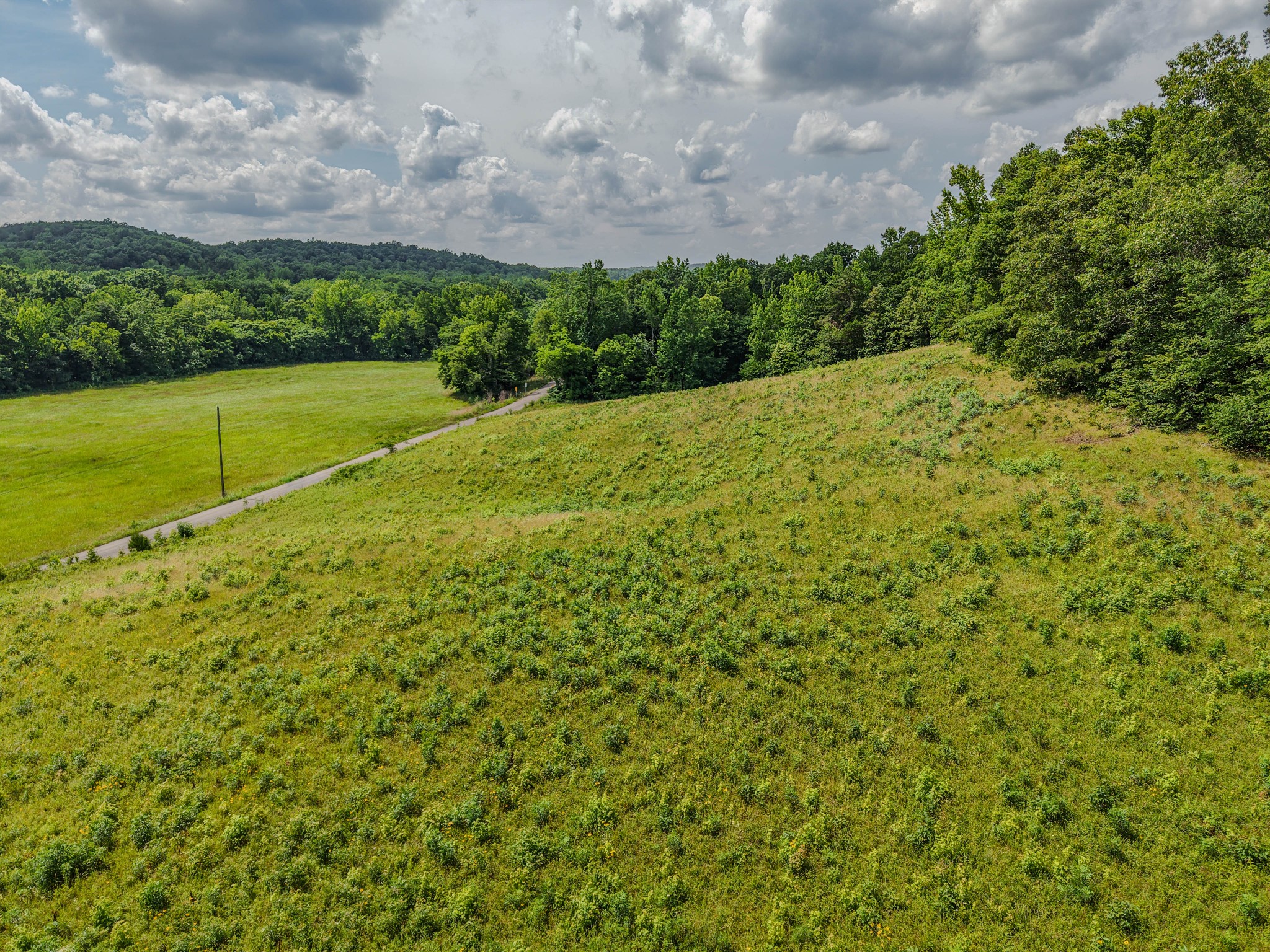 0 Rayburn Creek Rd Property Photo 12