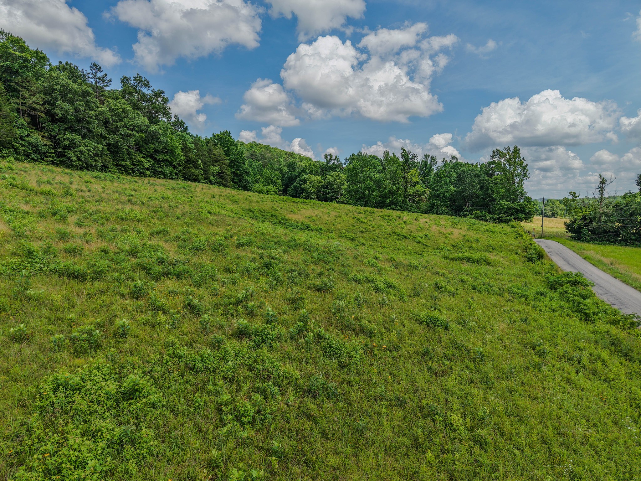 0 Rayburn Creek Rd Property Photo 14