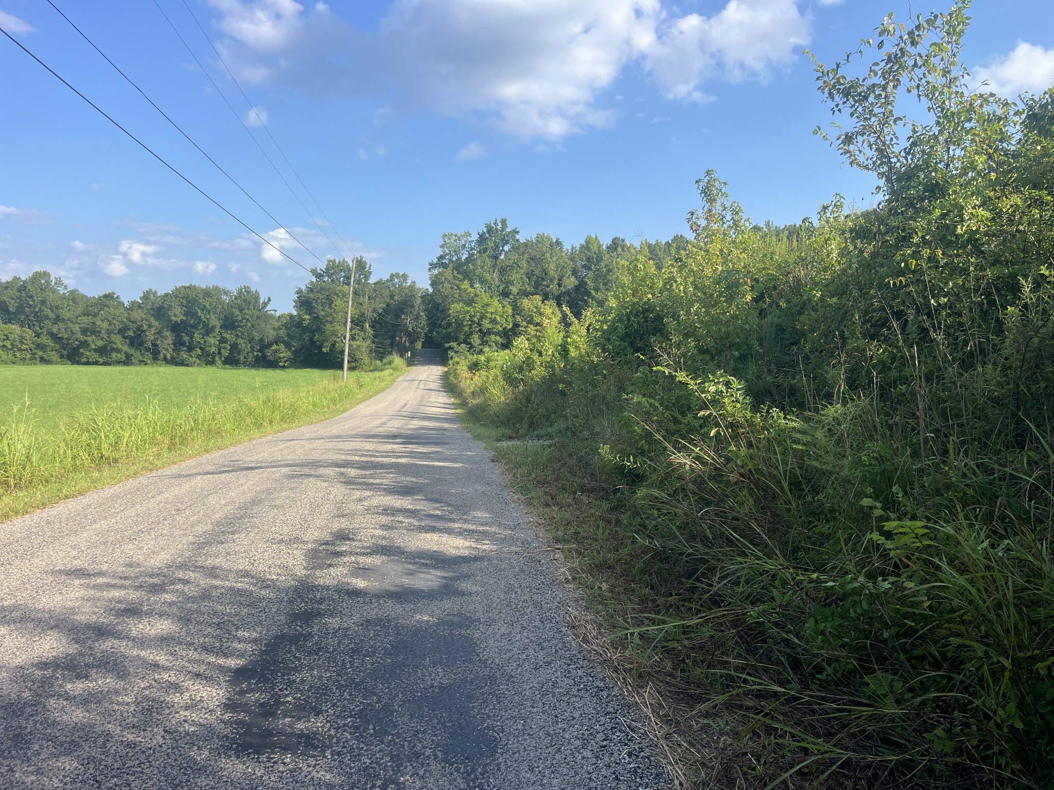 0 Rayburn Creek Rd Property Photo 15