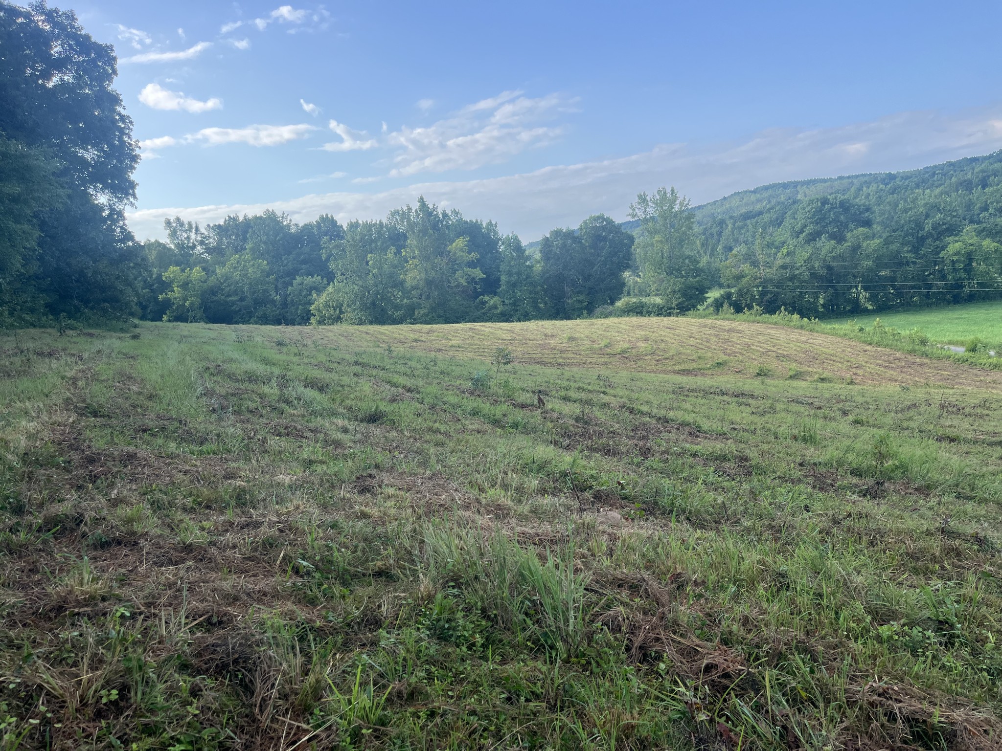 0 Rayburn Creek Rd Property Photo 17