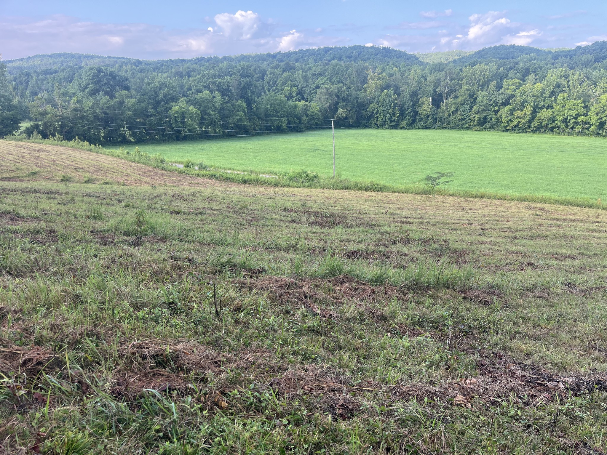 0 Rayburn Creek Rd Property Photo 18