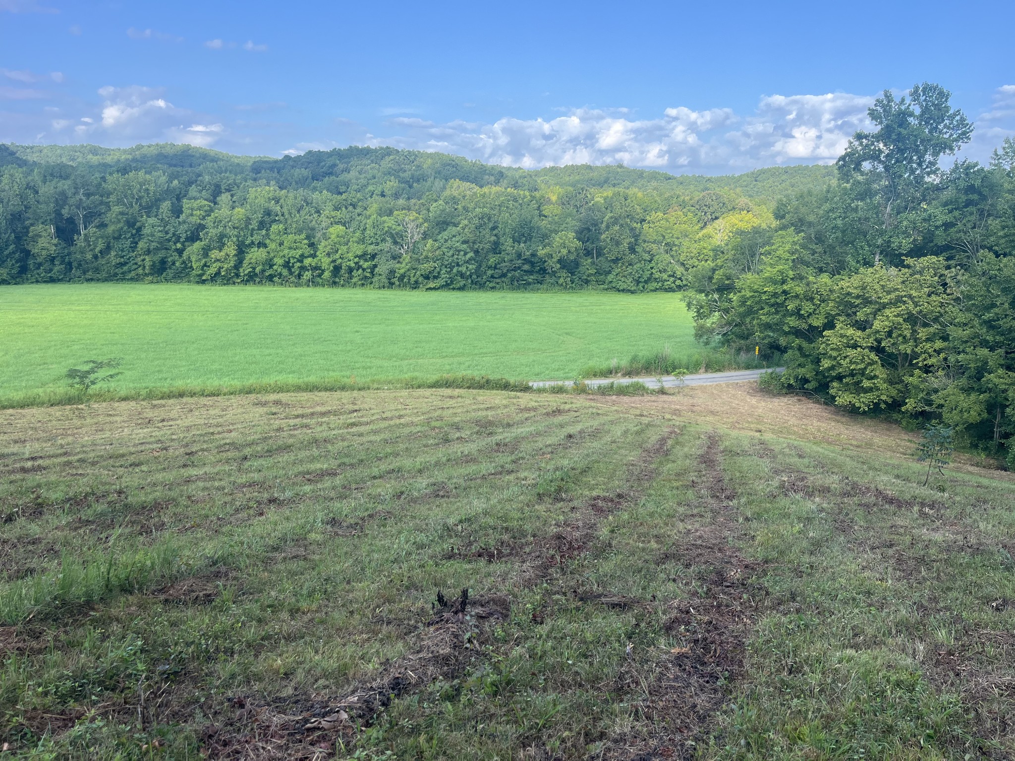 0 Rayburn Creek Rd Property Photo 19