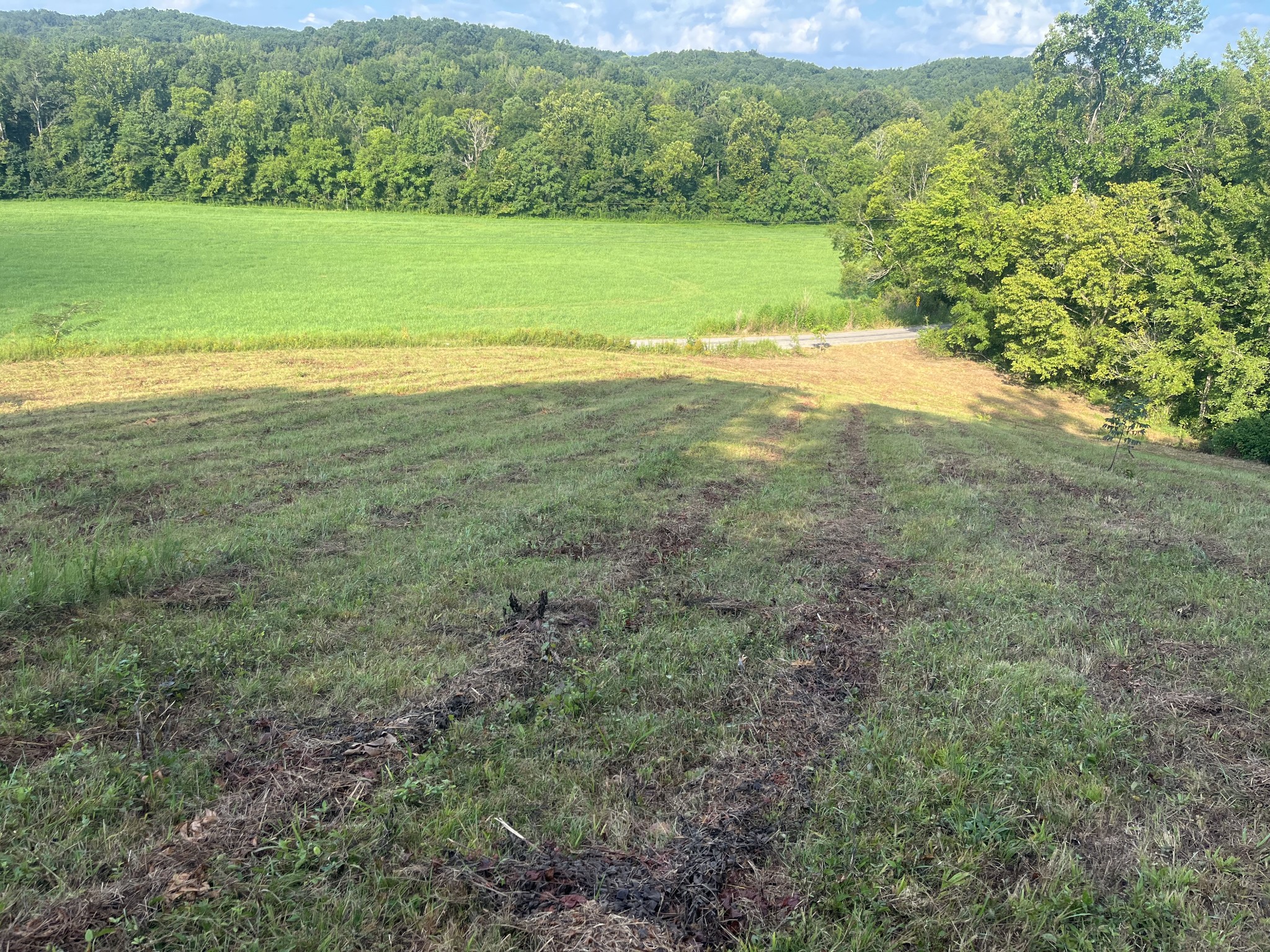 0 Rayburn Creek Rd Property Photo 20