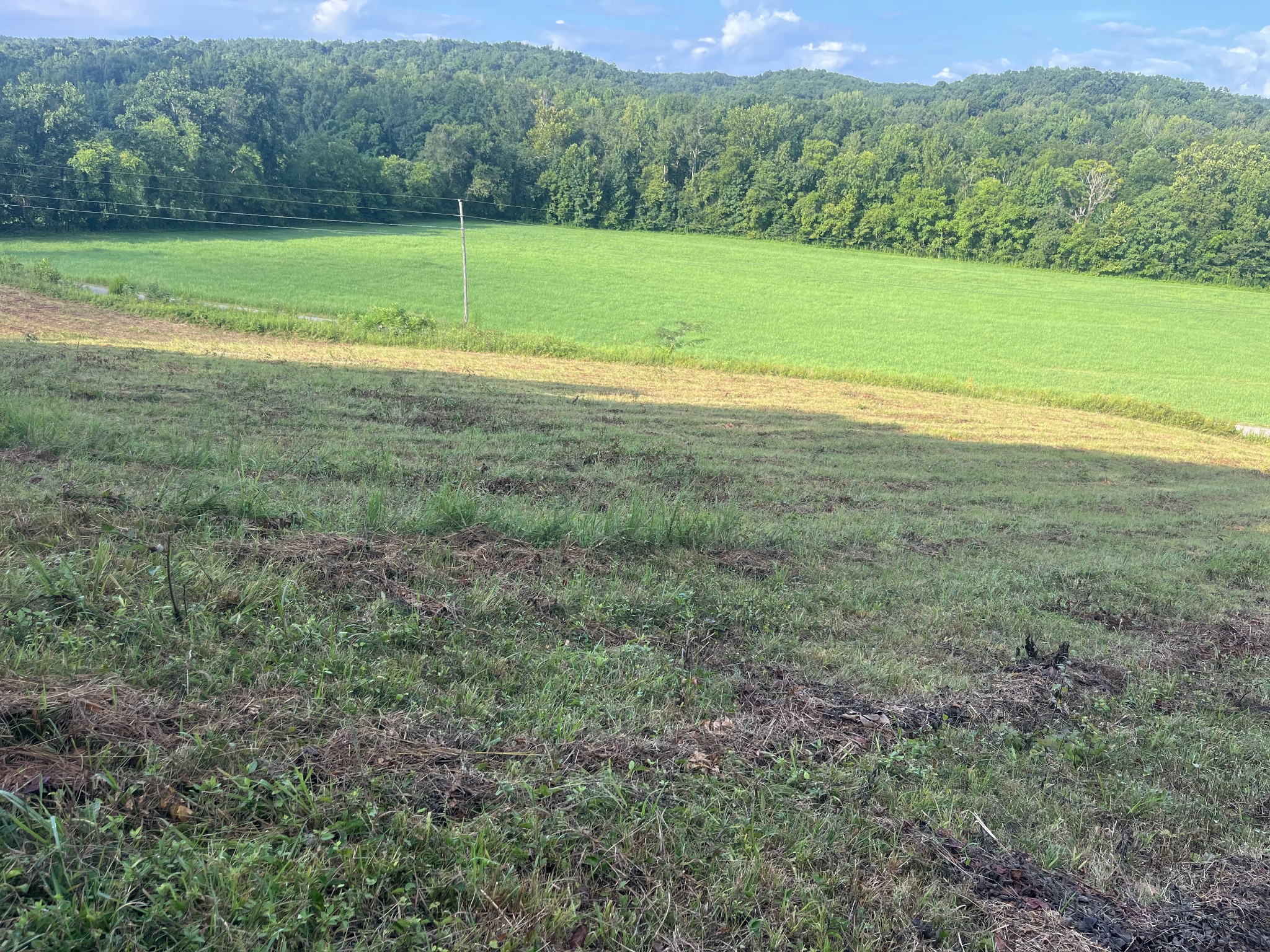 0 Rayburn Creek Rd Property Photo 21