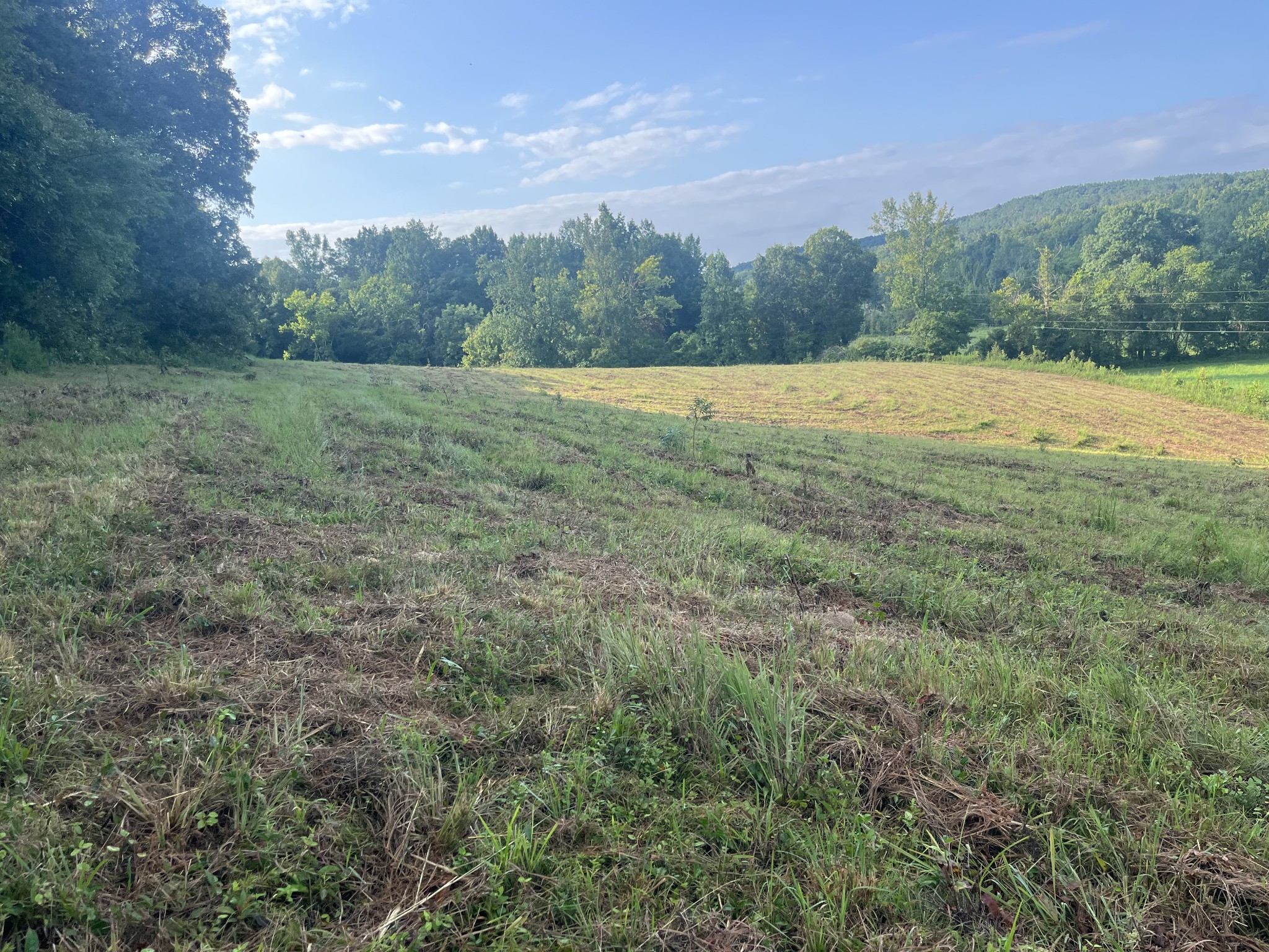 0 Rayburn Creek Rd Property Photo 22