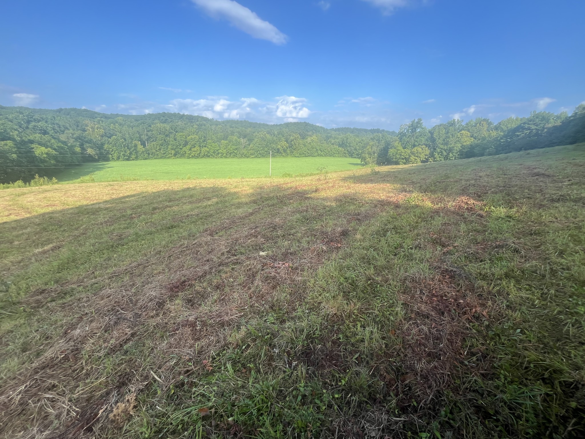 0 Rayburn Creek Rd Property Photo 24