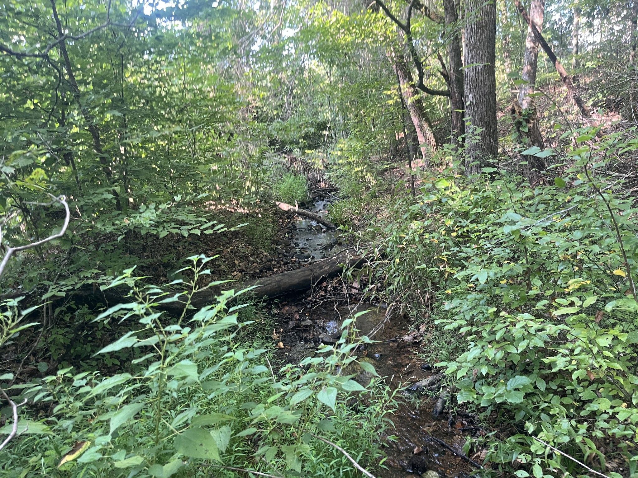 0 Rayburn Creek Rd Property Photo 25