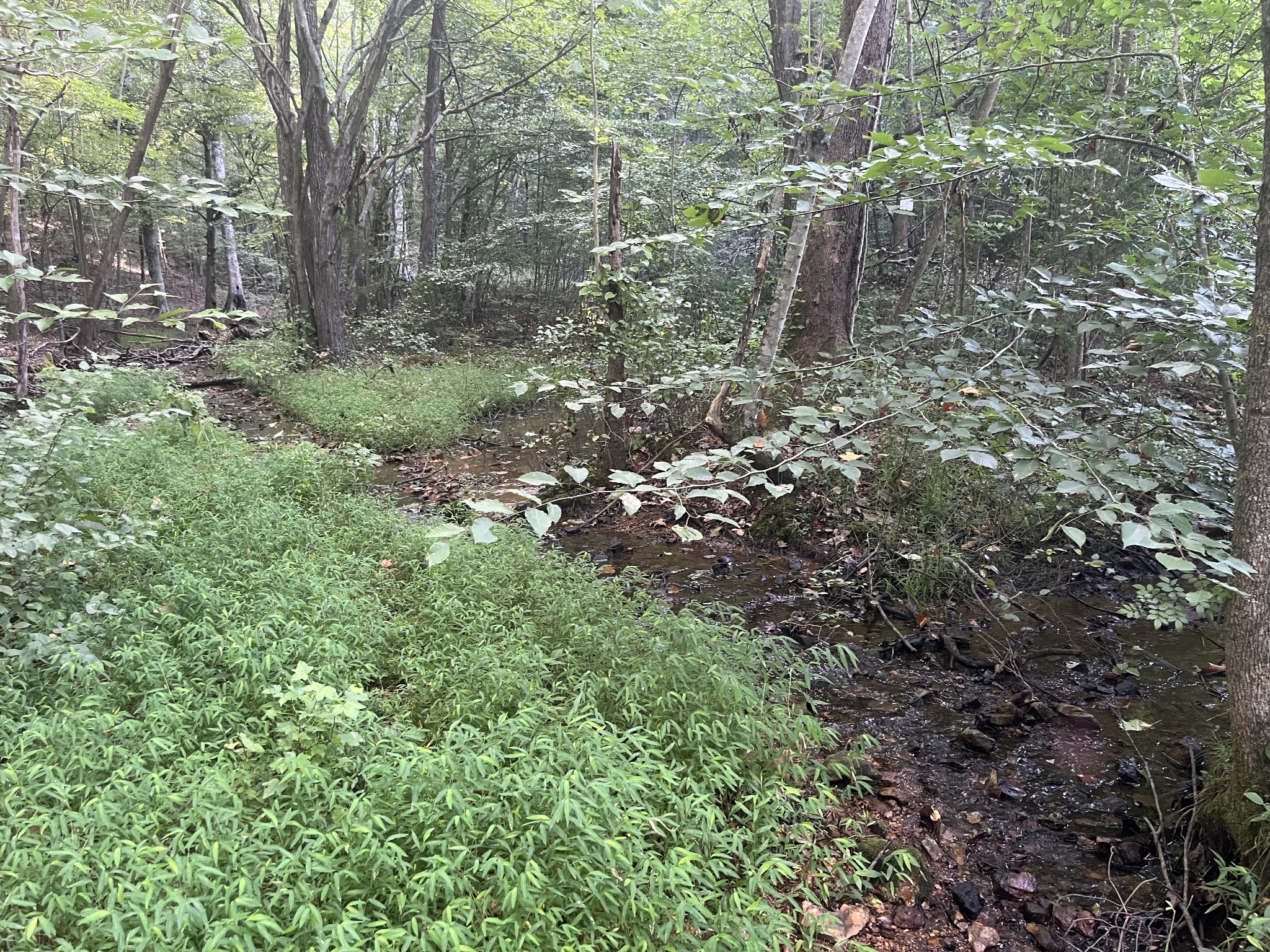 0 Rayburn Creek Rd Property Photo 26