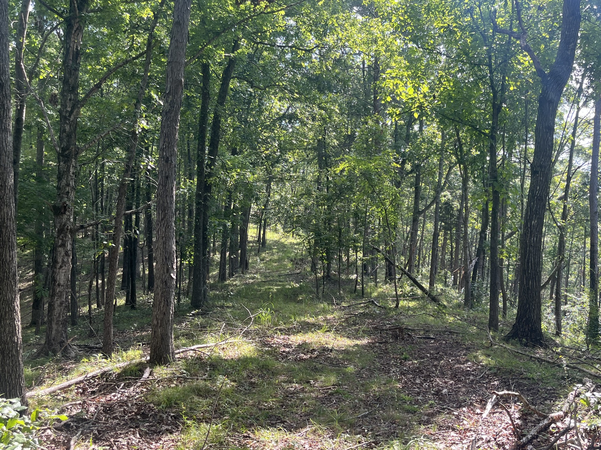 0 Rayburn Creek Rd Property Photo 28
