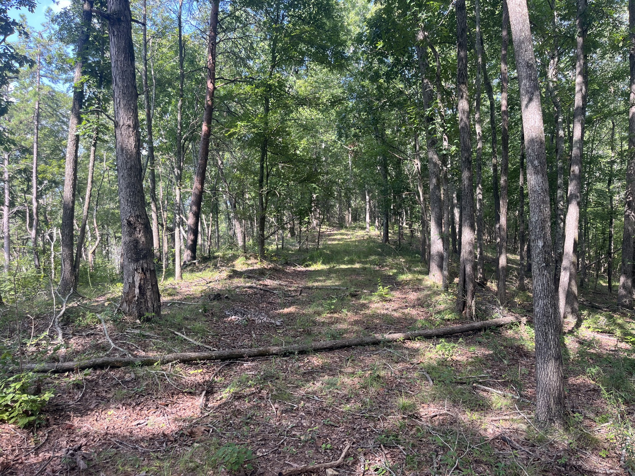 0 Rayburn Creek Rd Property Photo 30