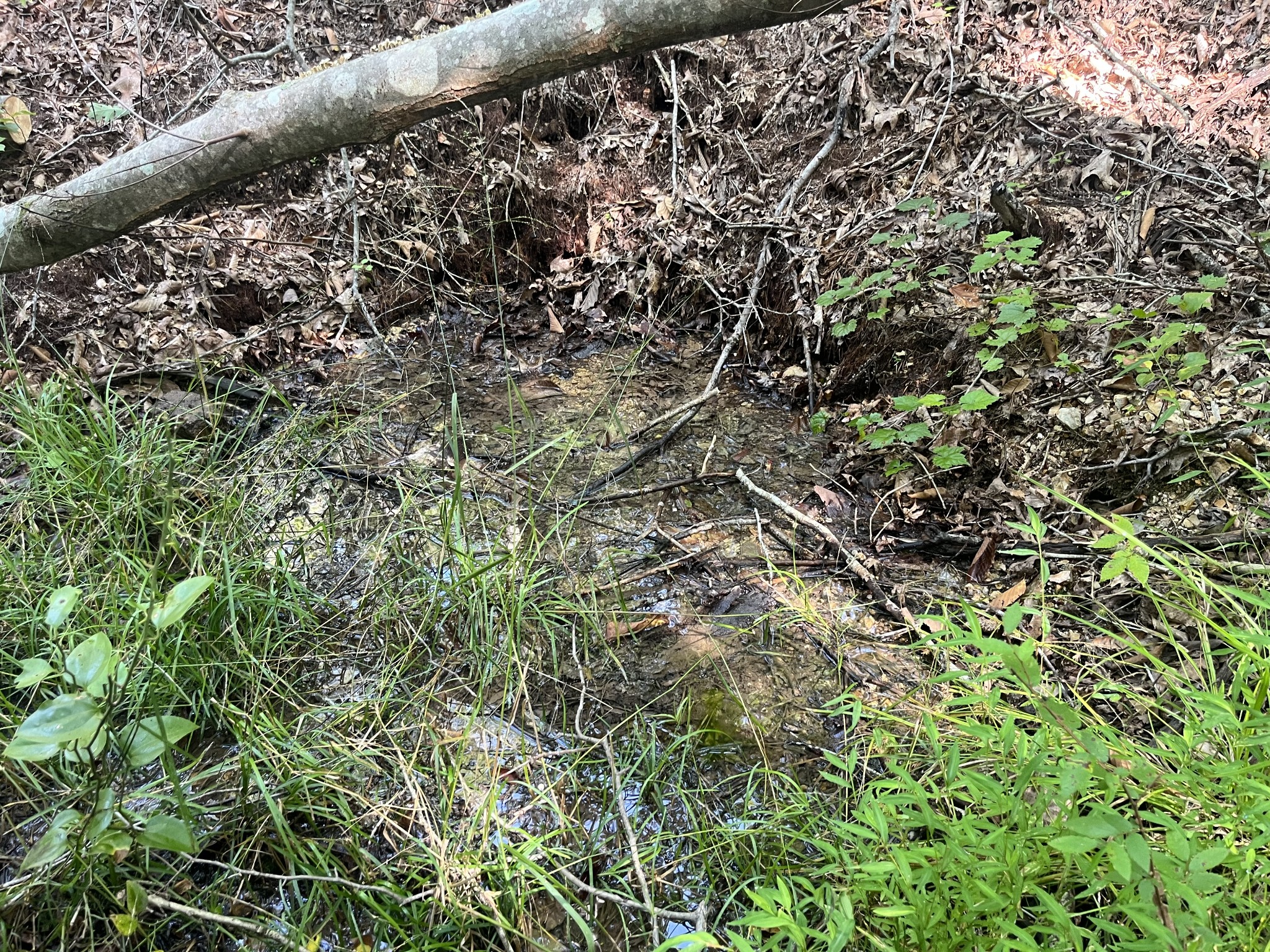 0 Rayburn Creek Rd Property Photo 31