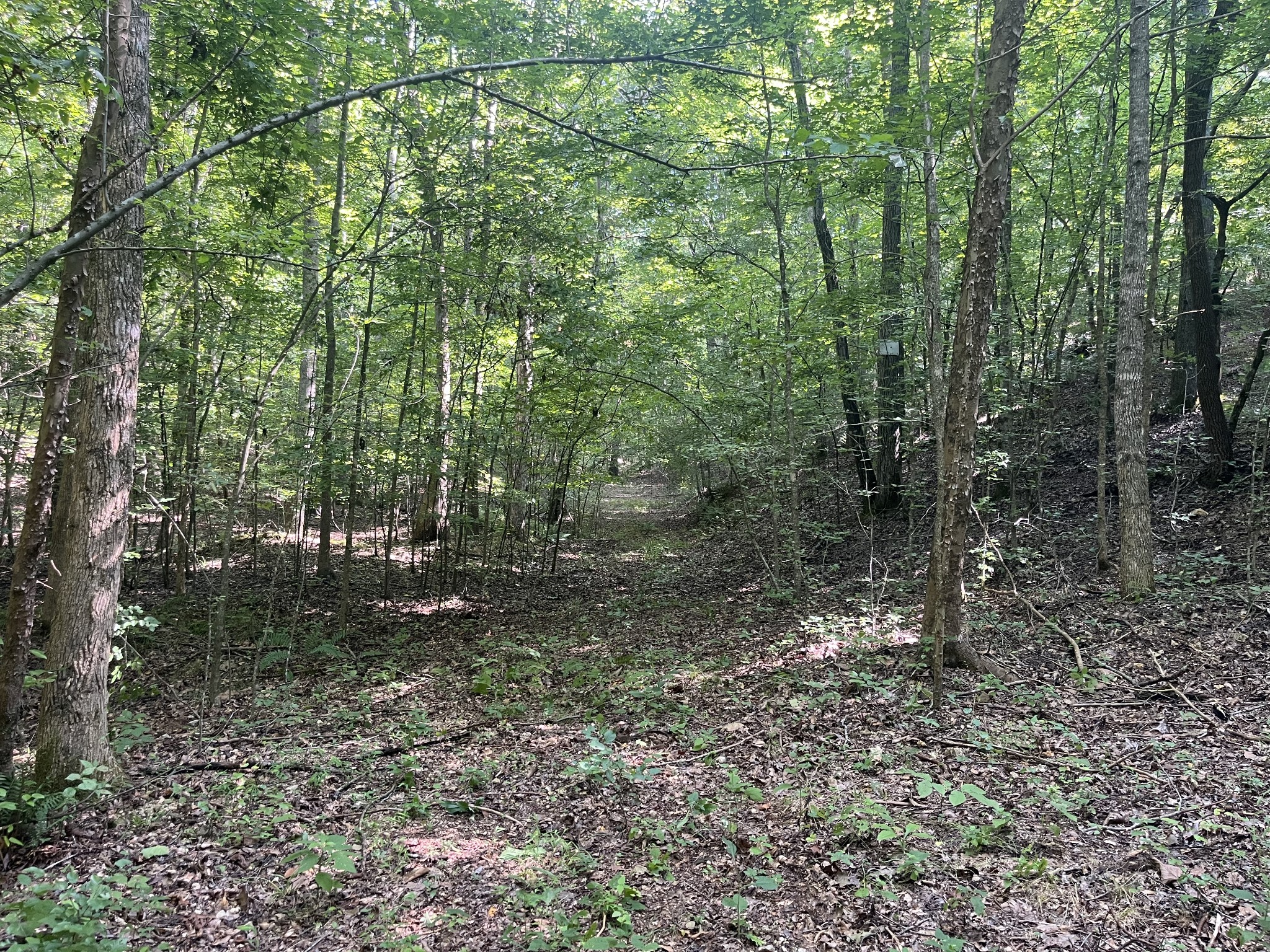 0 Rayburn Creek Rd Property Photo 32