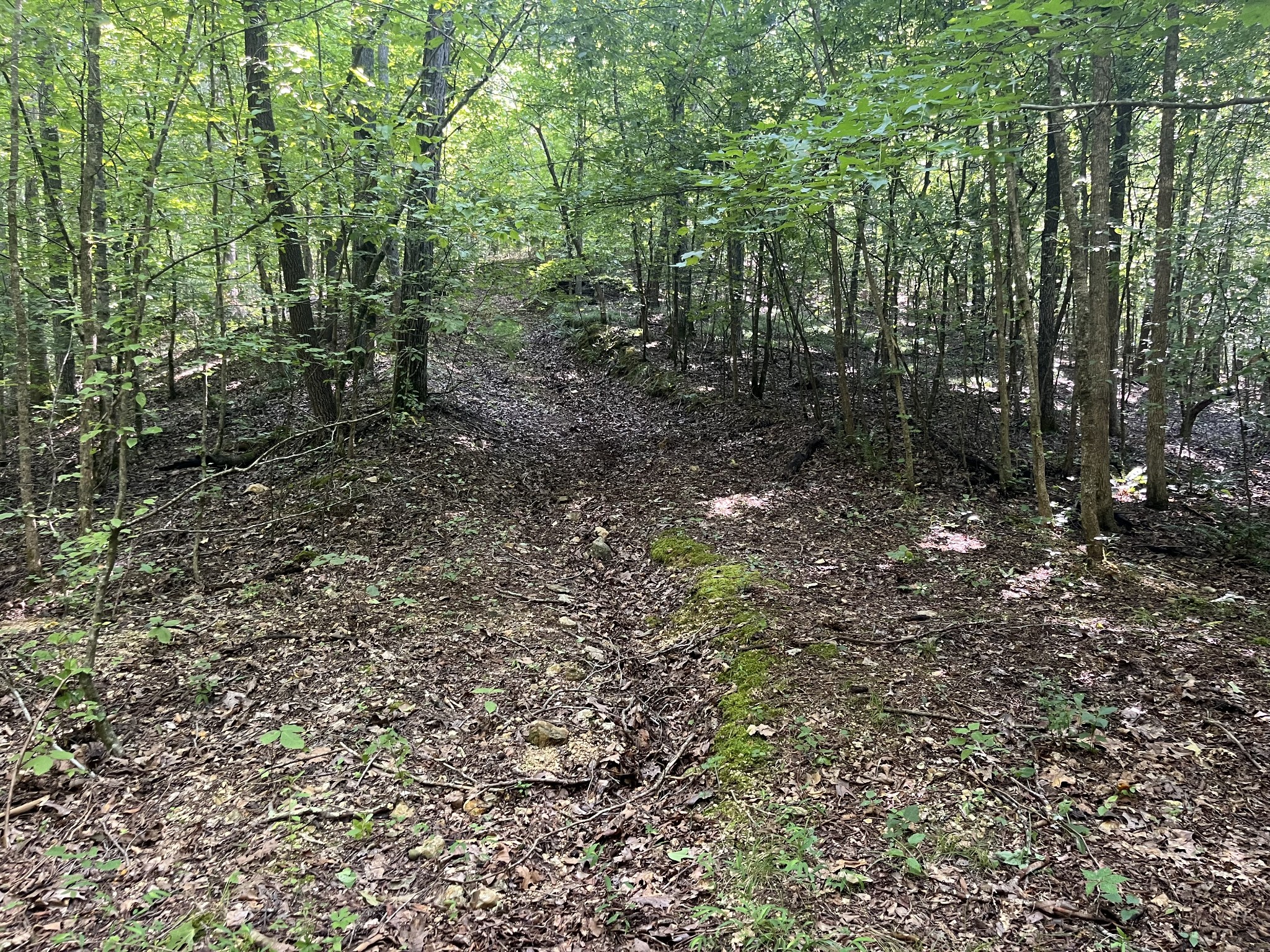 0 Rayburn Creek Rd Property Photo 33