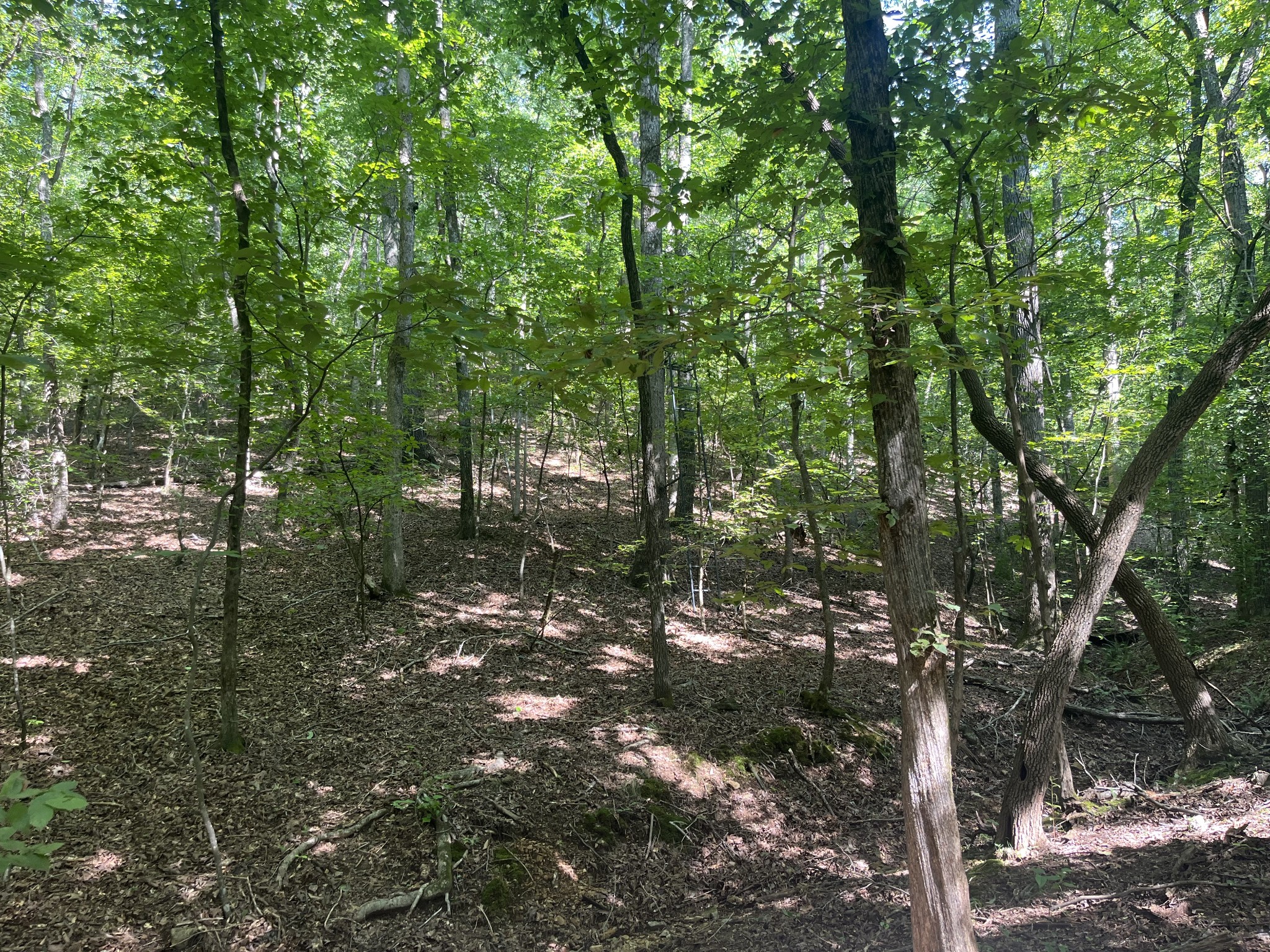 0 Rayburn Creek Rd Property Photo 35