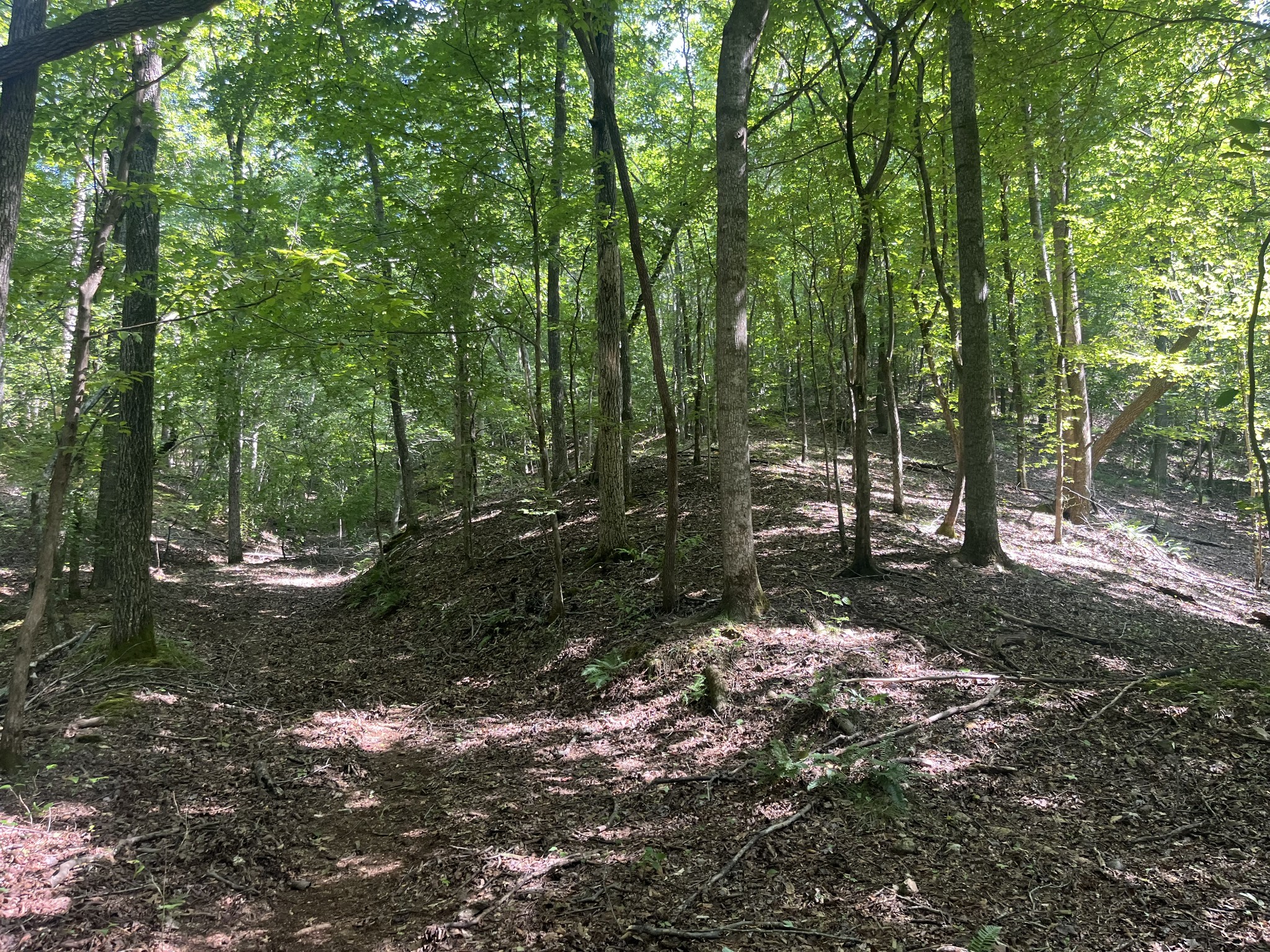 0 Rayburn Creek Rd Property Photo 36