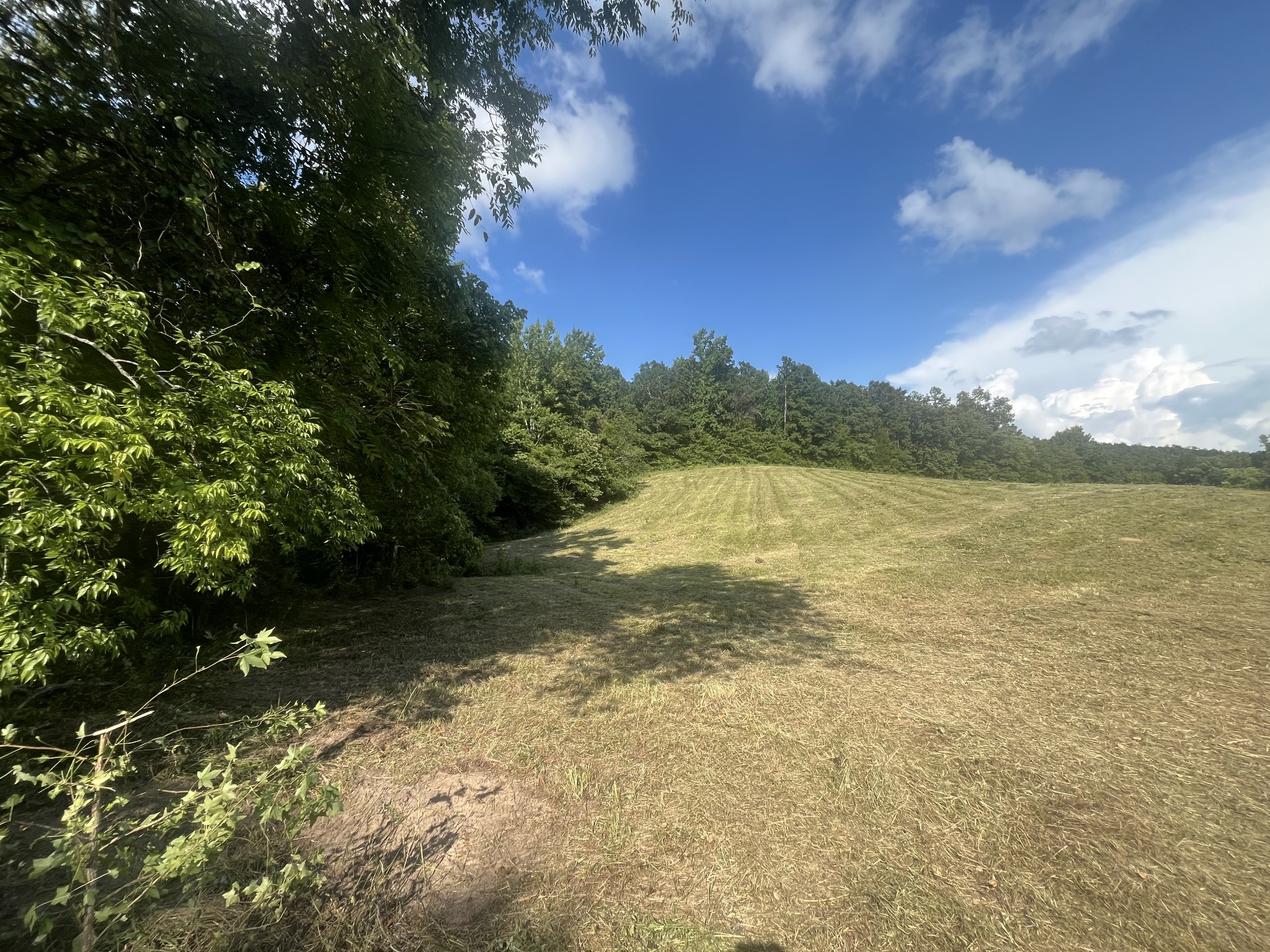 0 Rayburn Creek Rd Property Photo 39