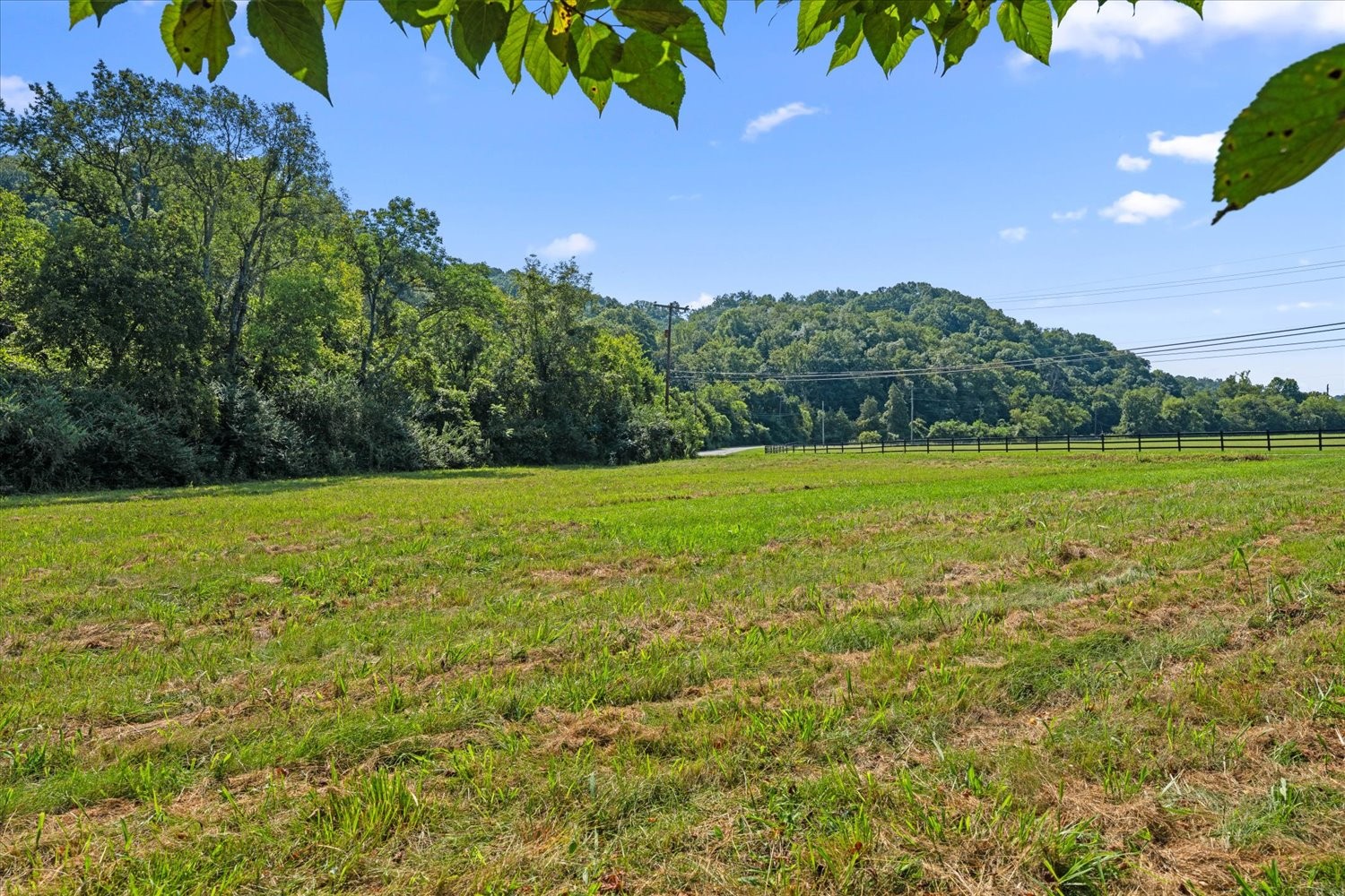5360 Pond Creek Rd Property Photo 35